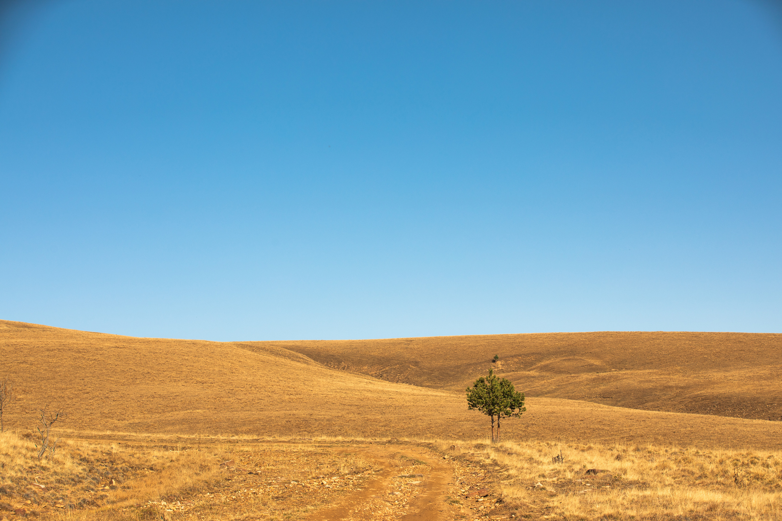 Северный Кавказ Волок. Фотографирую для себя, своей семьи и друзей!