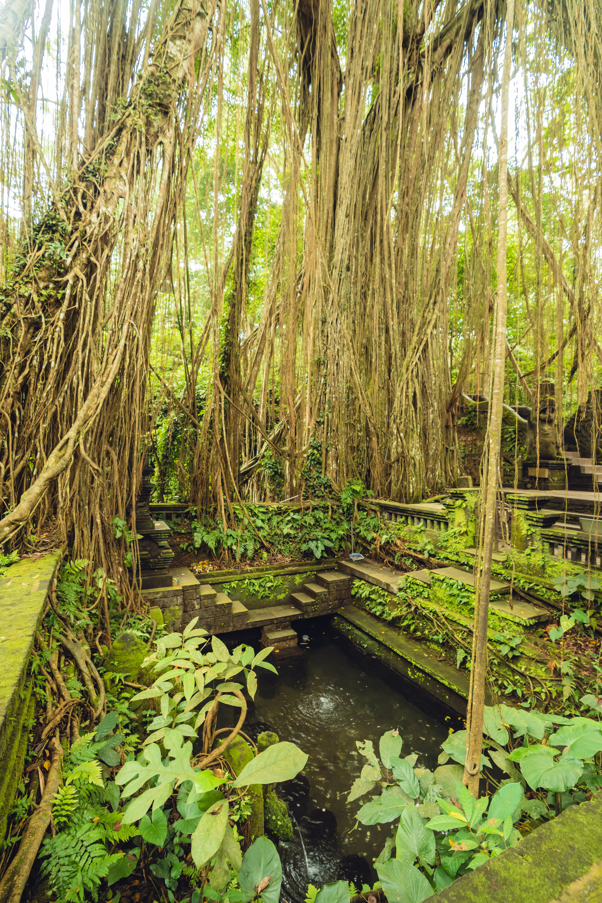 Бали. Фотографирую для себя, своей семьи и друзей!