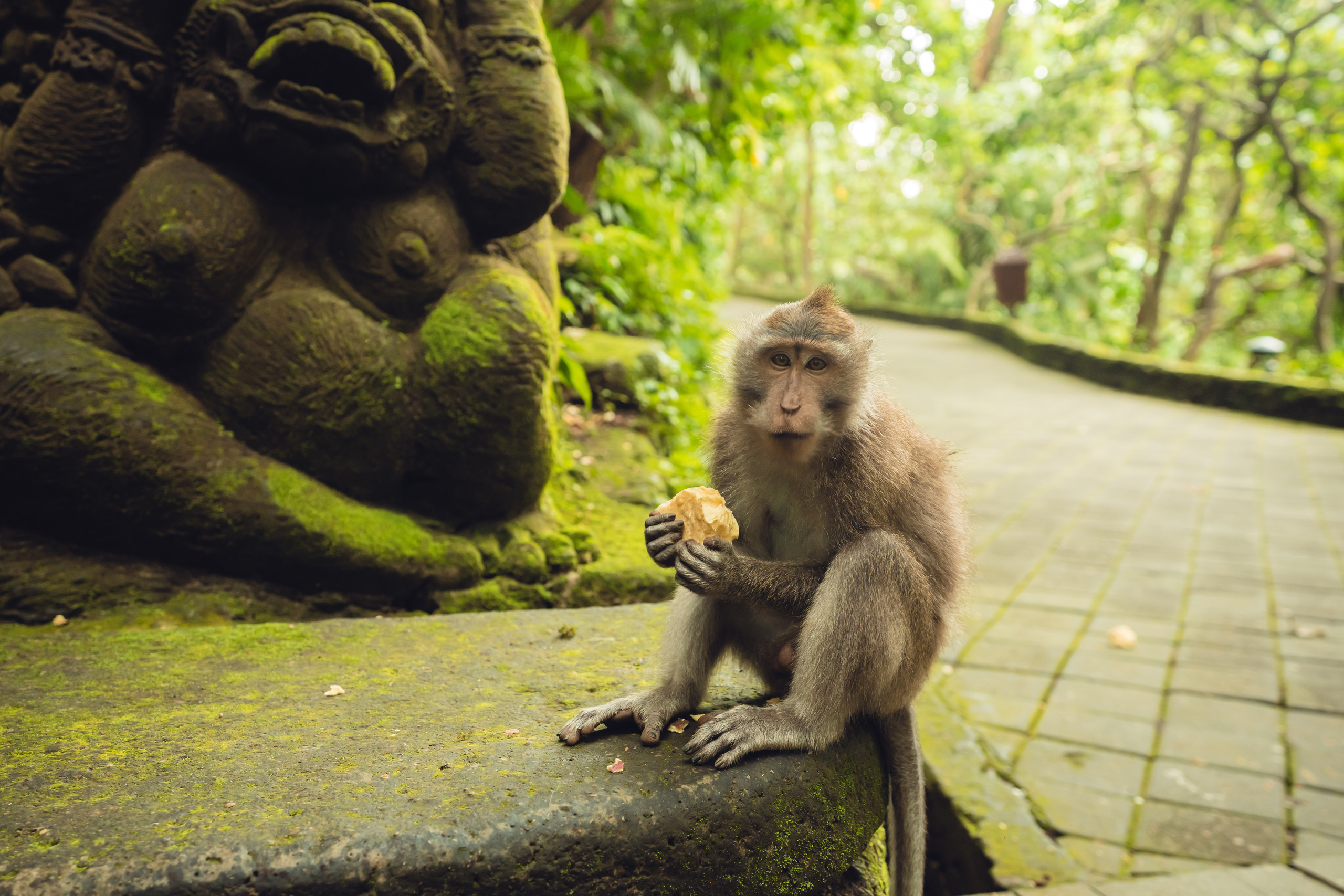 Бали. Фотографирую для себя, своей семьи и друзей!