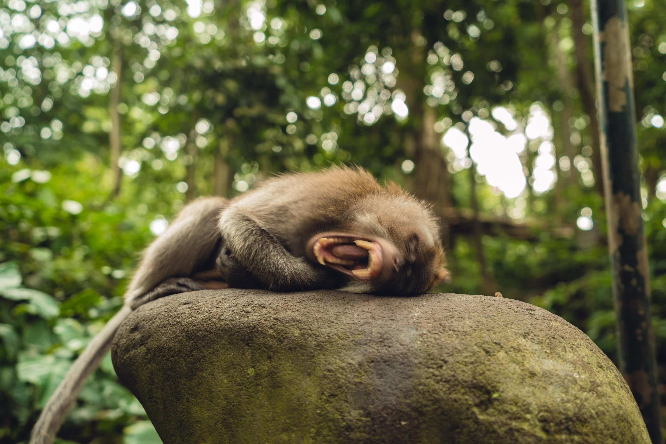 Бали. Фотографирую для себя, своей семьи и друзей!