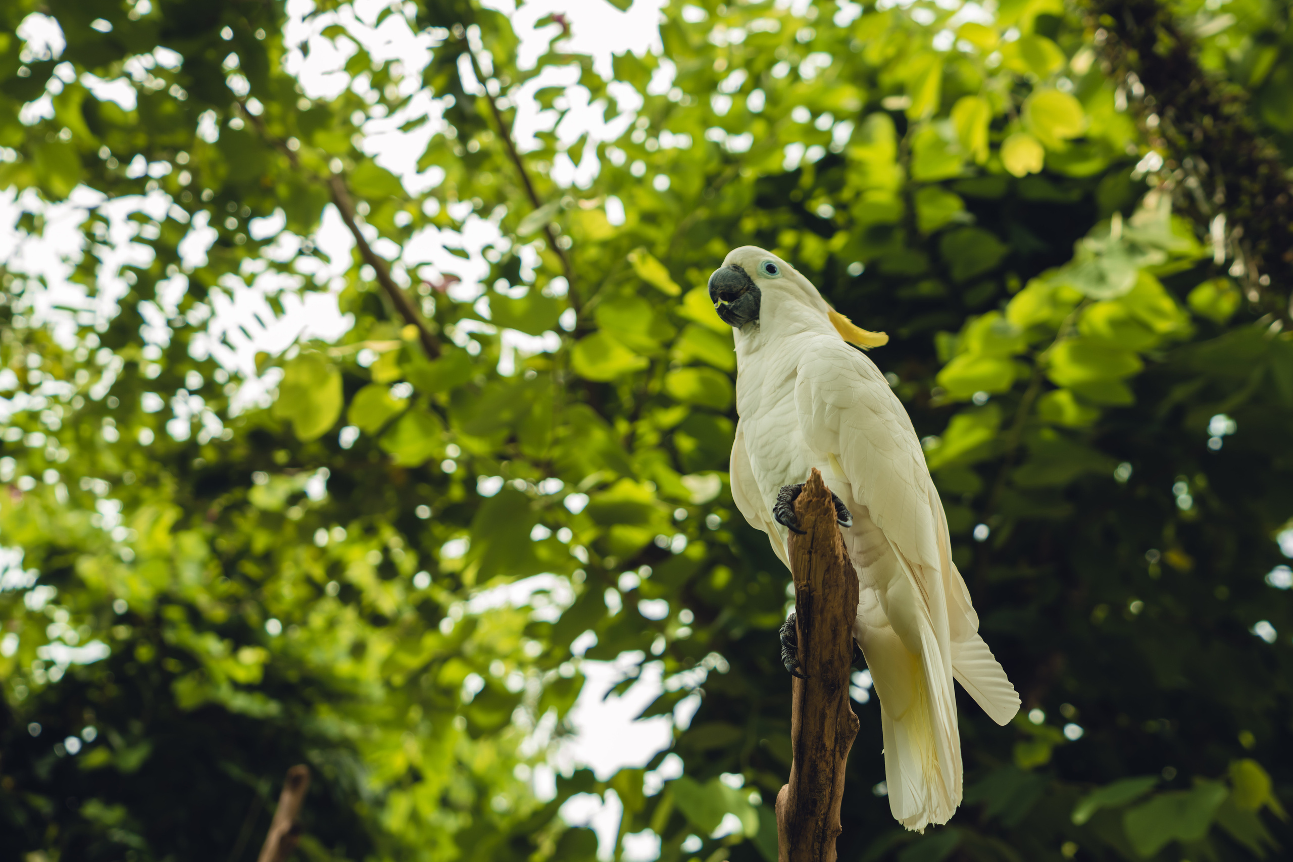 Бали. Фотографирую для себя, своей семьи и друзей!