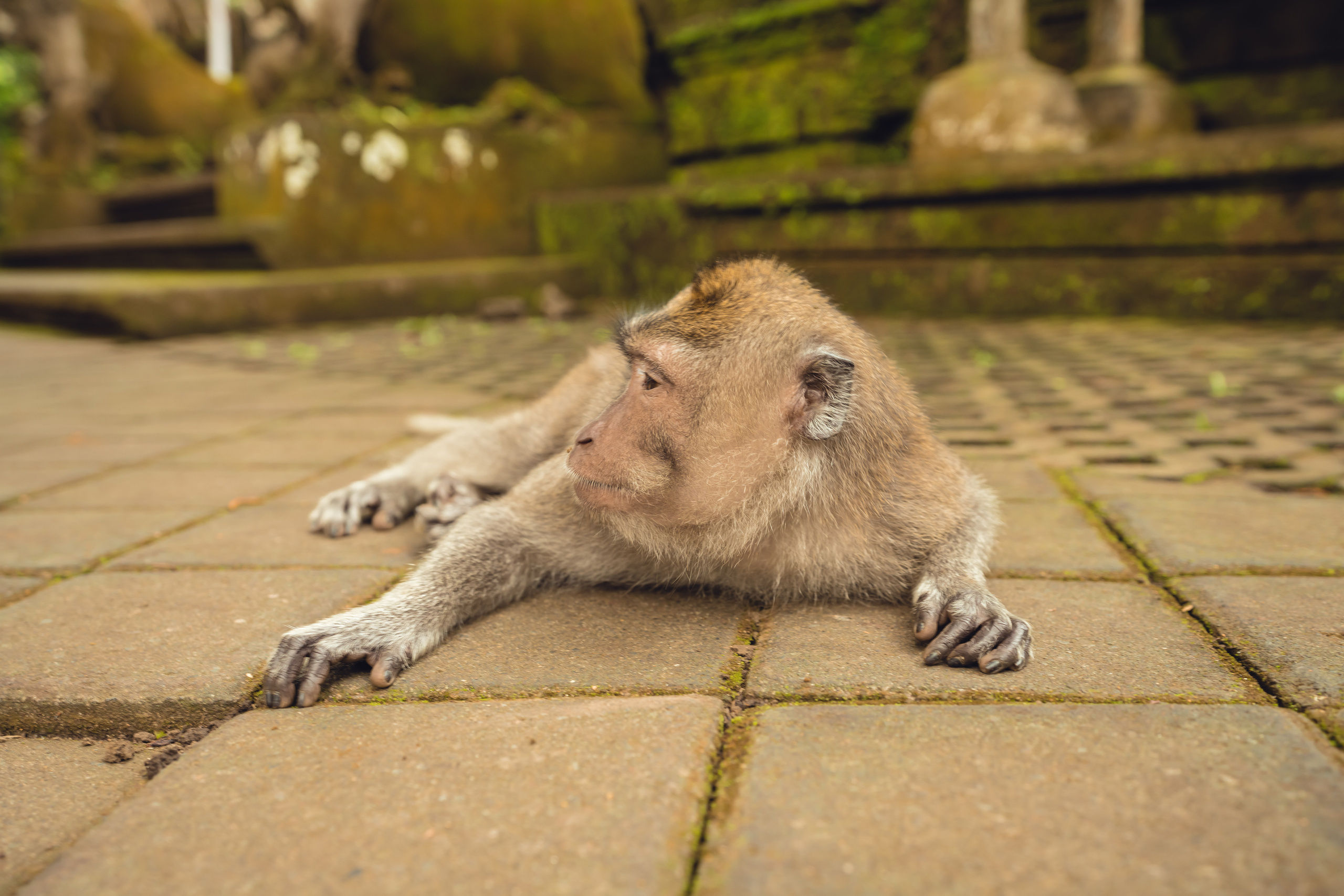 Бали. Фотографирую для себя, своей семьи и друзей!