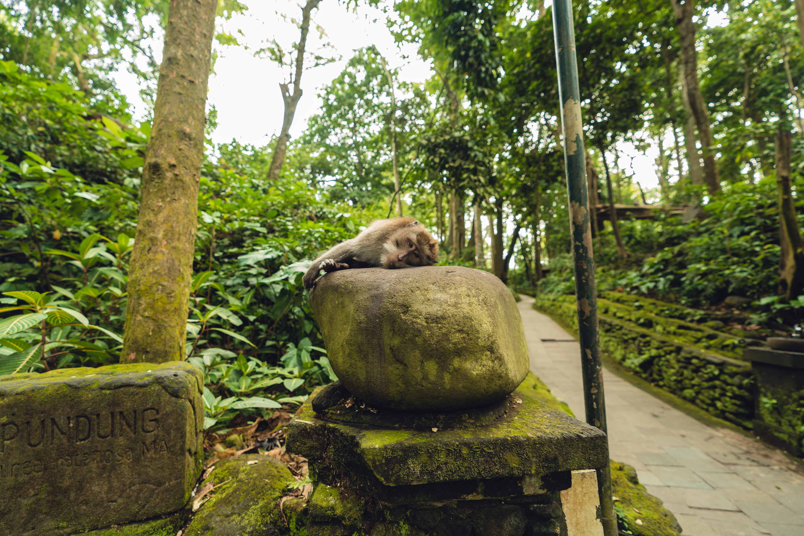 Бали. Фотографирую для себя, своей семьи и друзей!