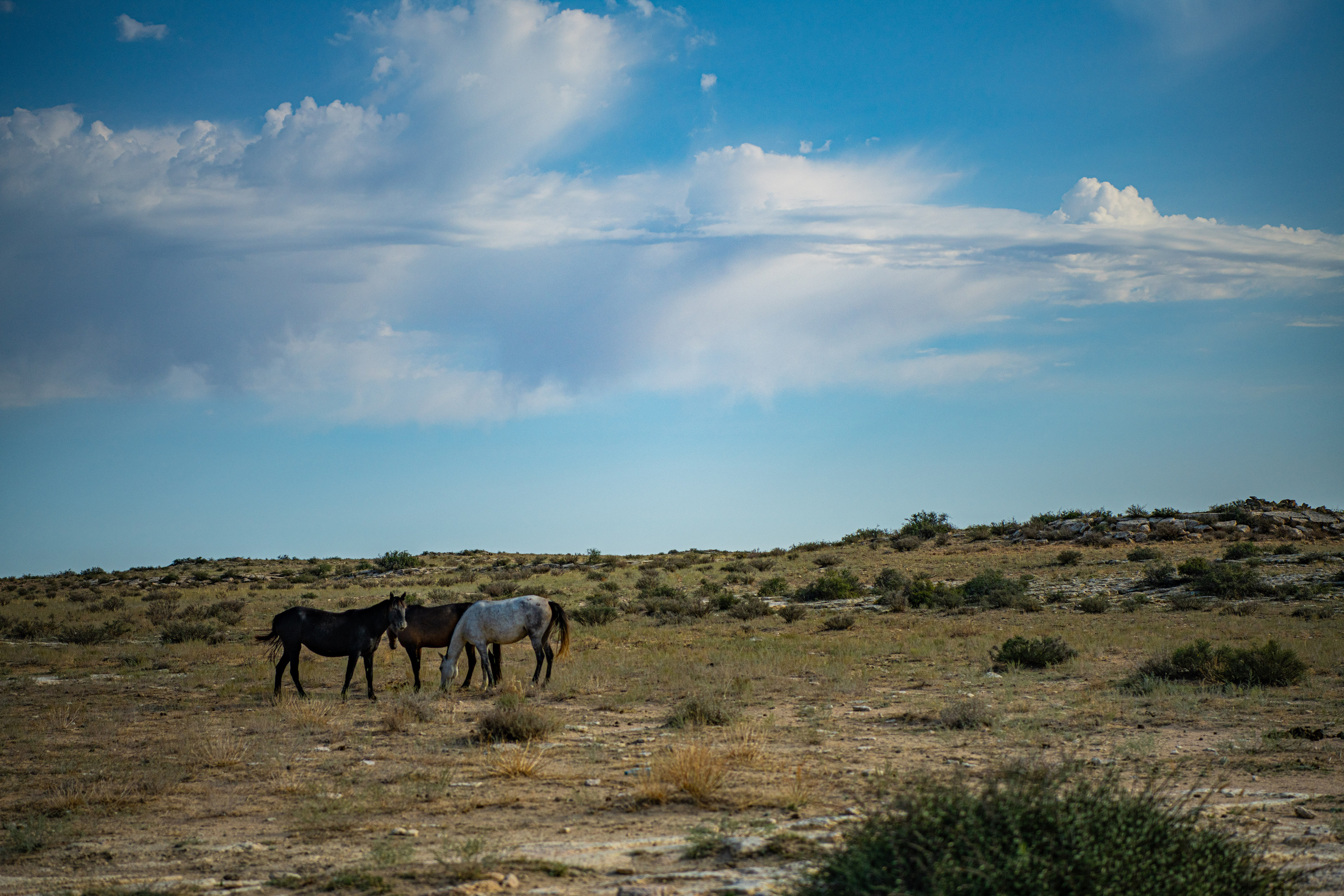 Мангистау. Фотографирую для себя, своей семьи и друзей!