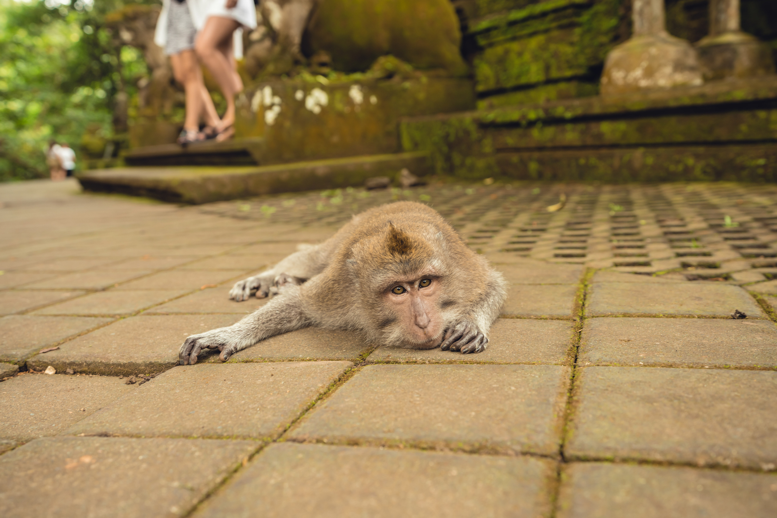 Бали. Фотографирую для себя, своей семьи и друзей!