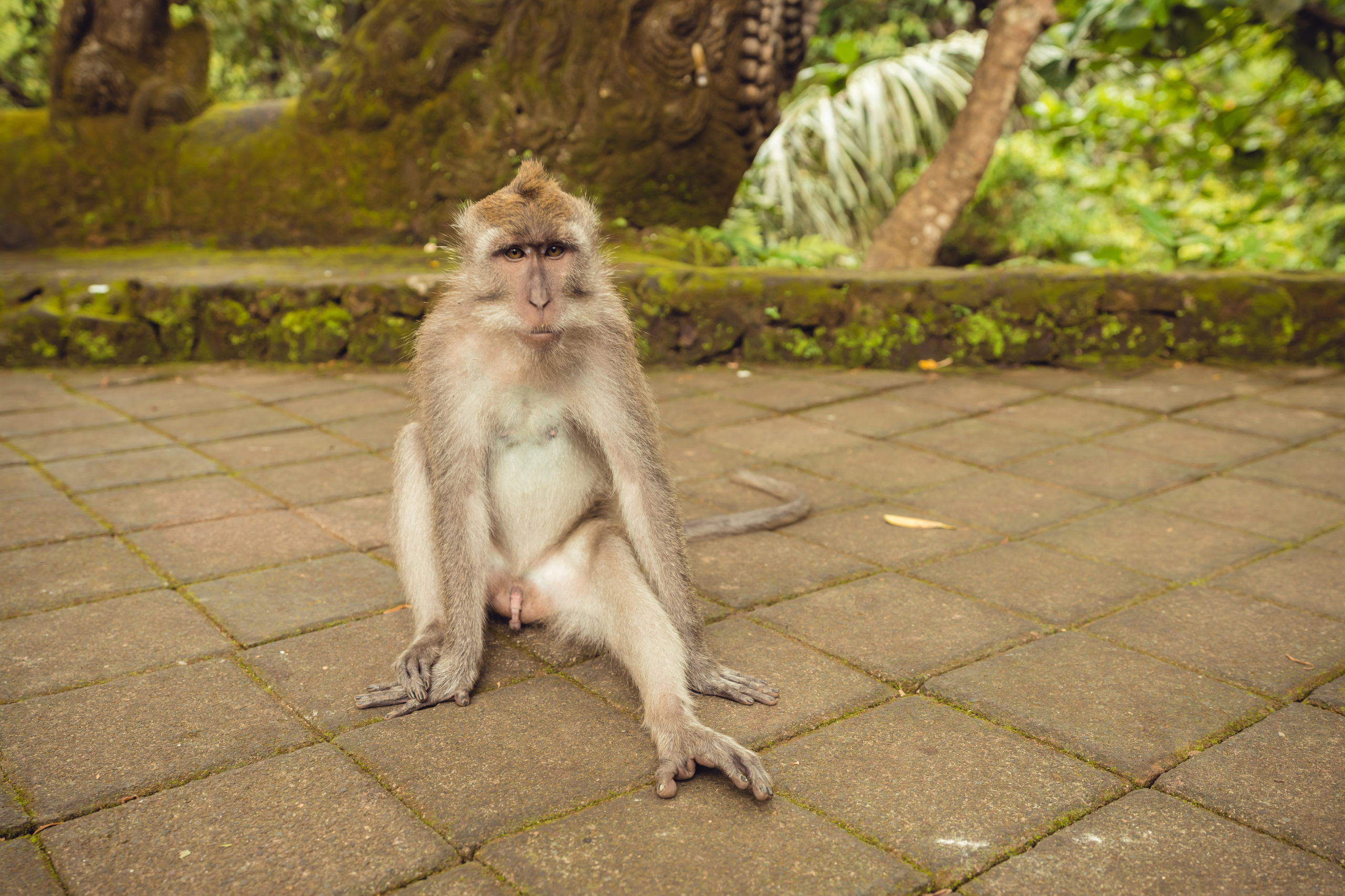 Бали. Фотографирую для себя, своей семьи и друзей!