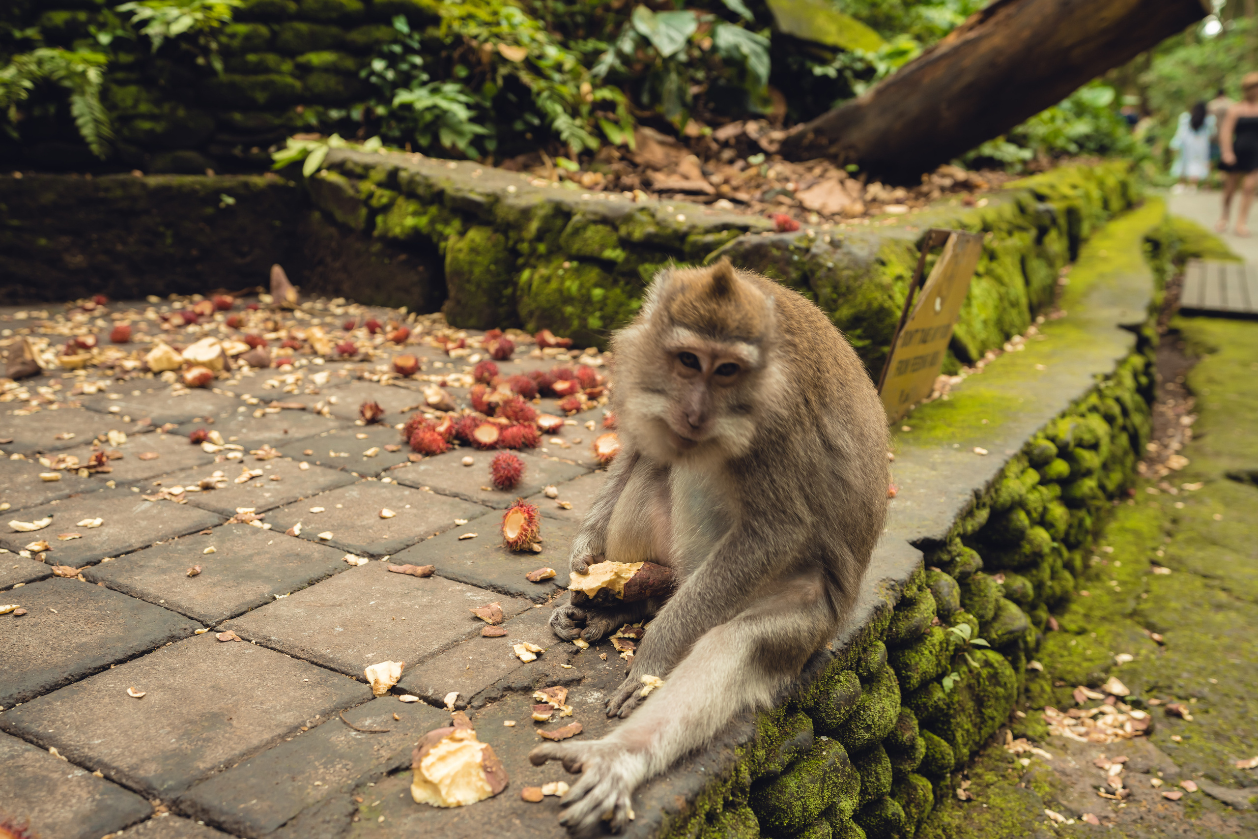 Бали. Фотографирую для себя, своей семьи и друзей!