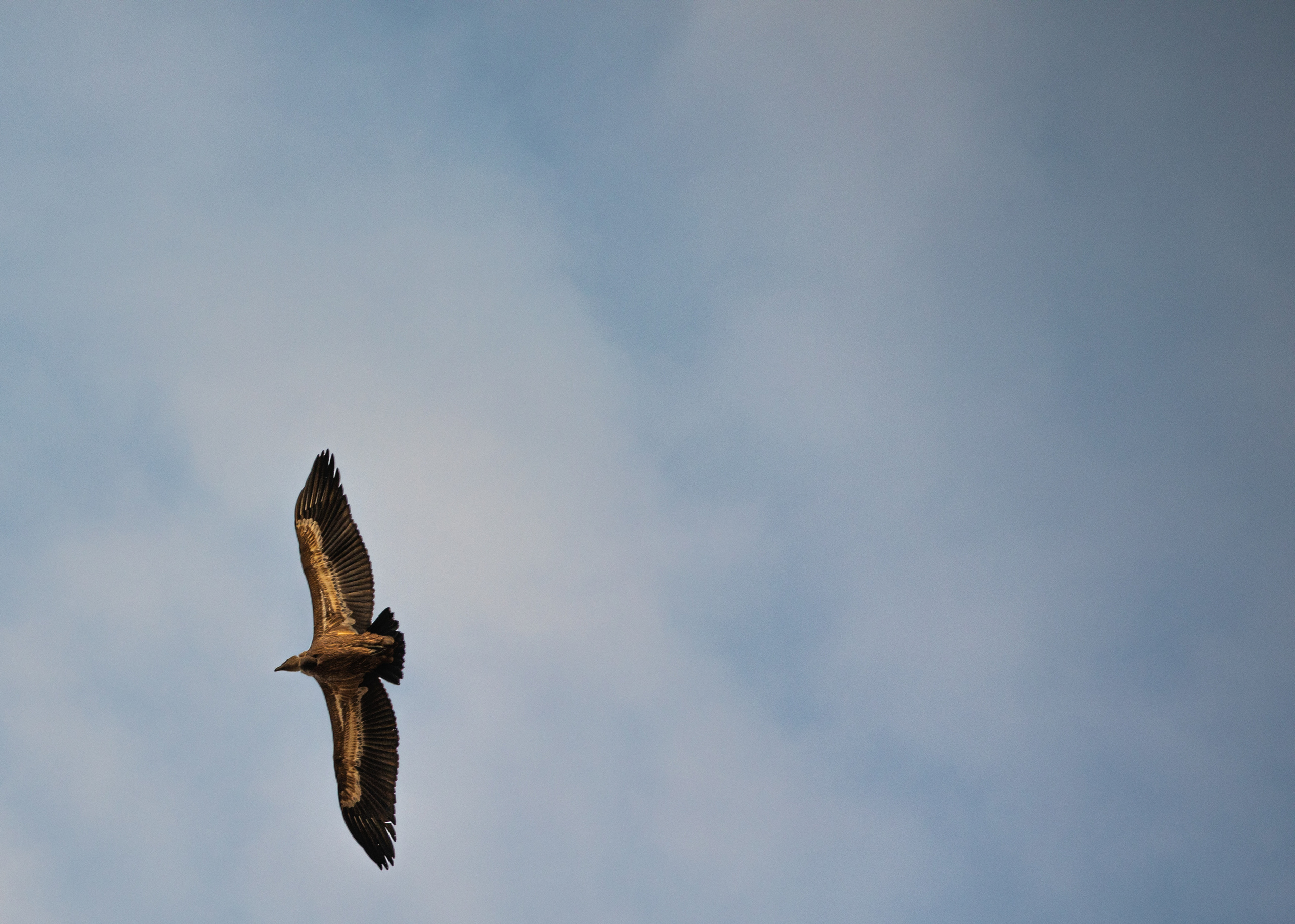 Северный Кавказ Волок. Фотографирую для себя, своей семьи и друзей!