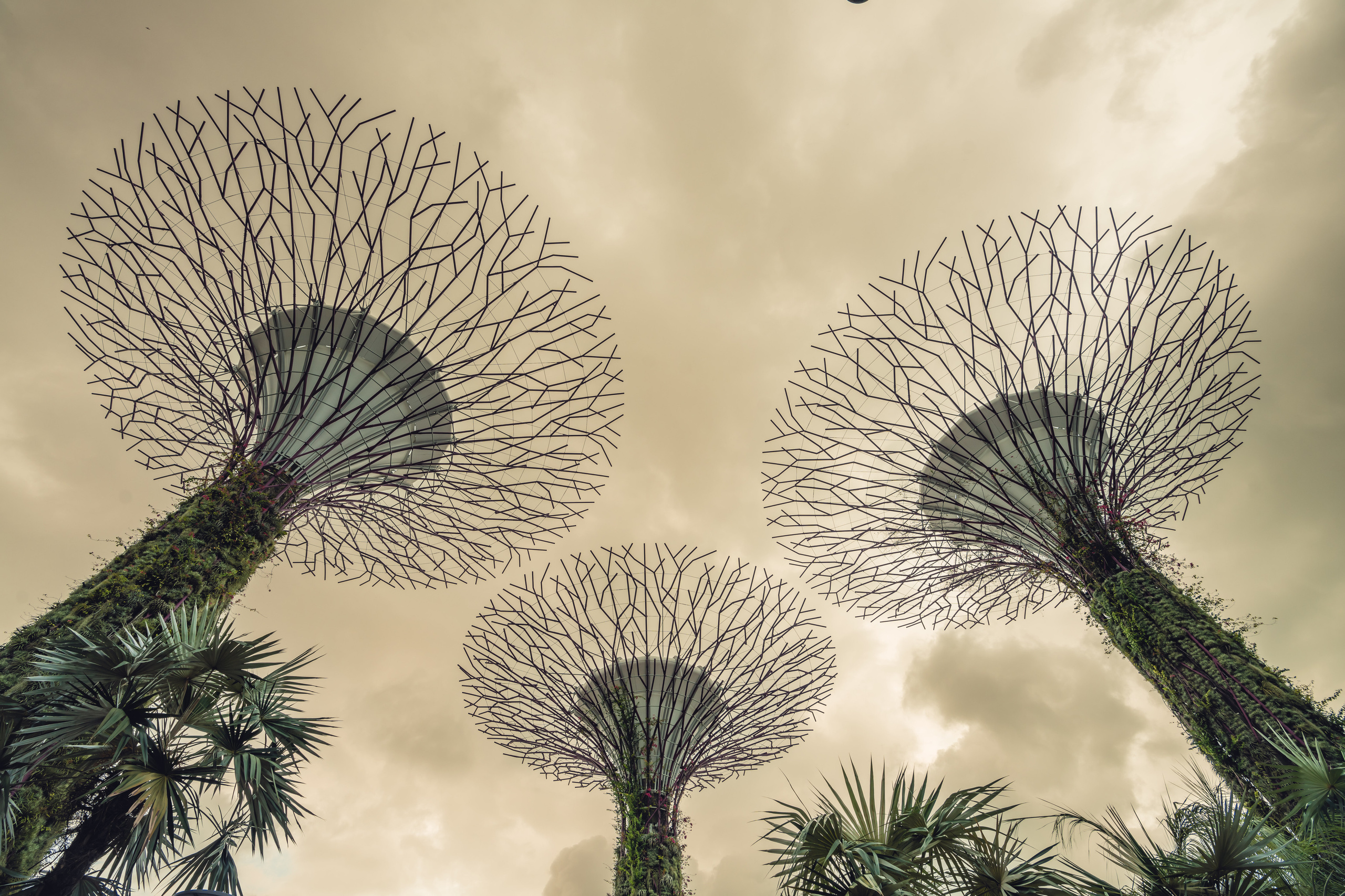 Сингапур. Фотографирую для себя, своей семьи и друзей!