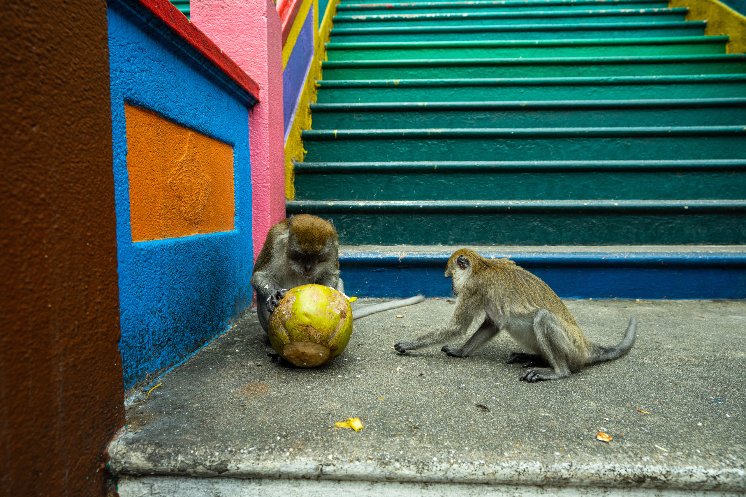 Куала Лумпур. Фотографирую для себя, своей семьи и друзей!