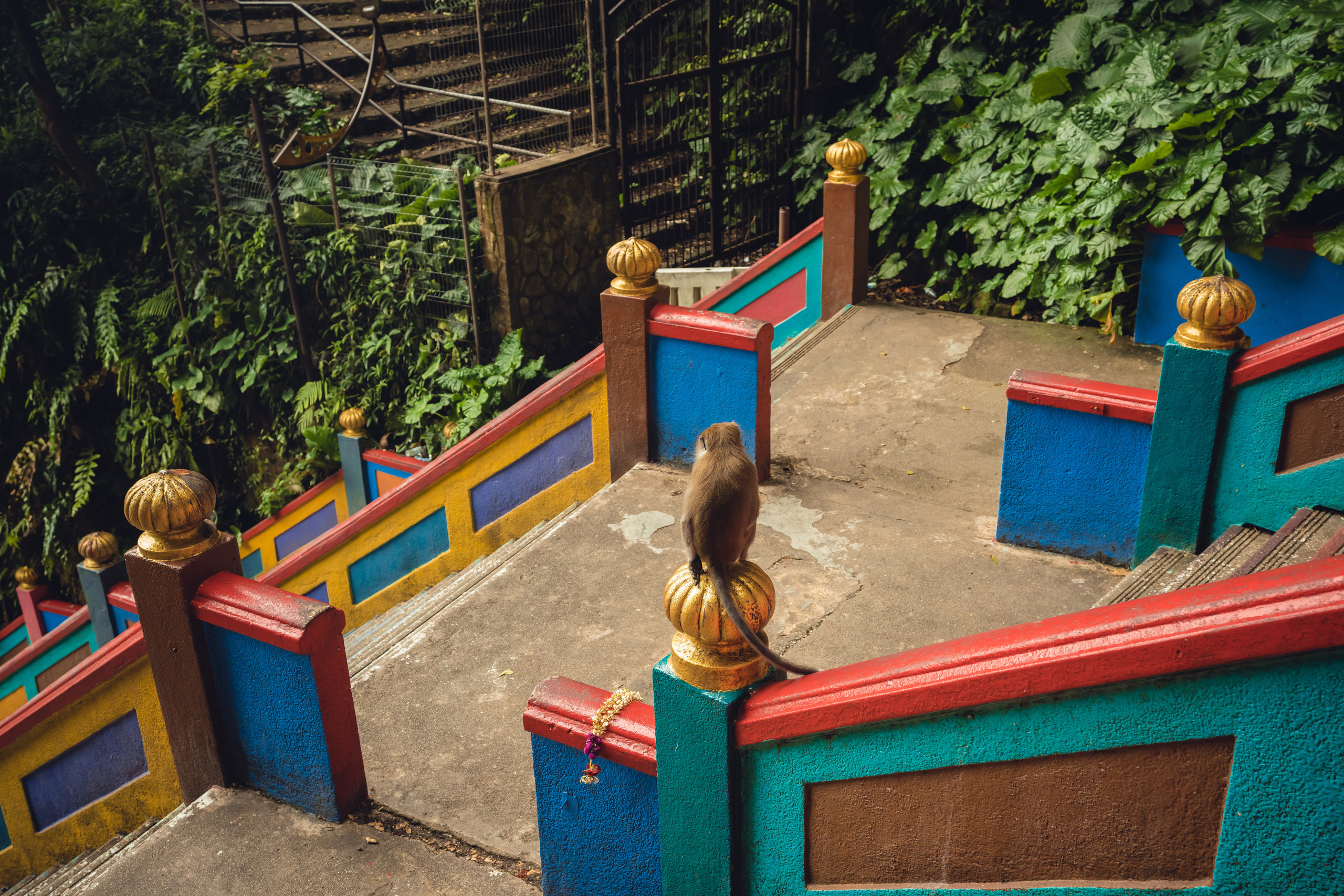 Куала Лумпур. Фотографирую для себя, своей семьи и друзей!