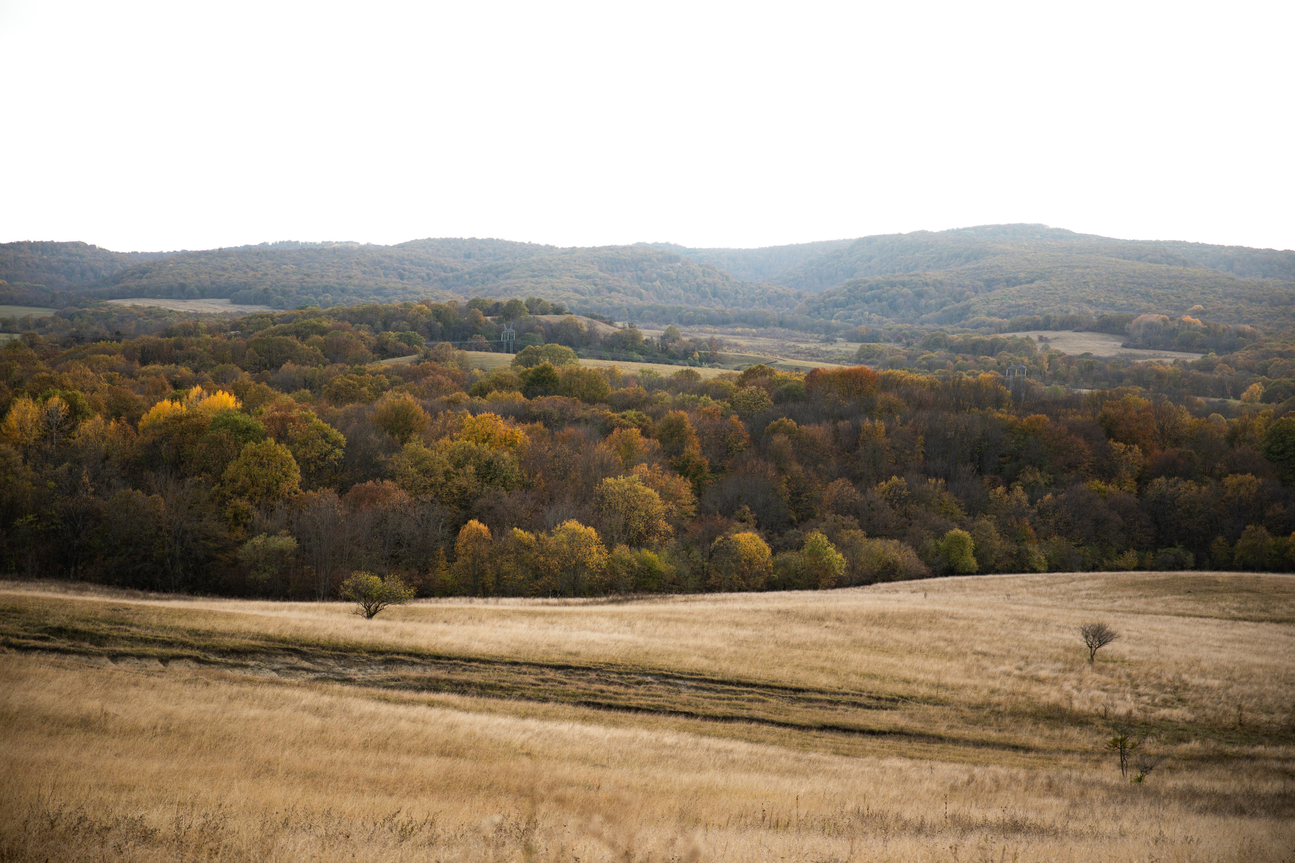 Северный Кавказ Волок. Фотографирую для себя, своей семьи и друзей!
