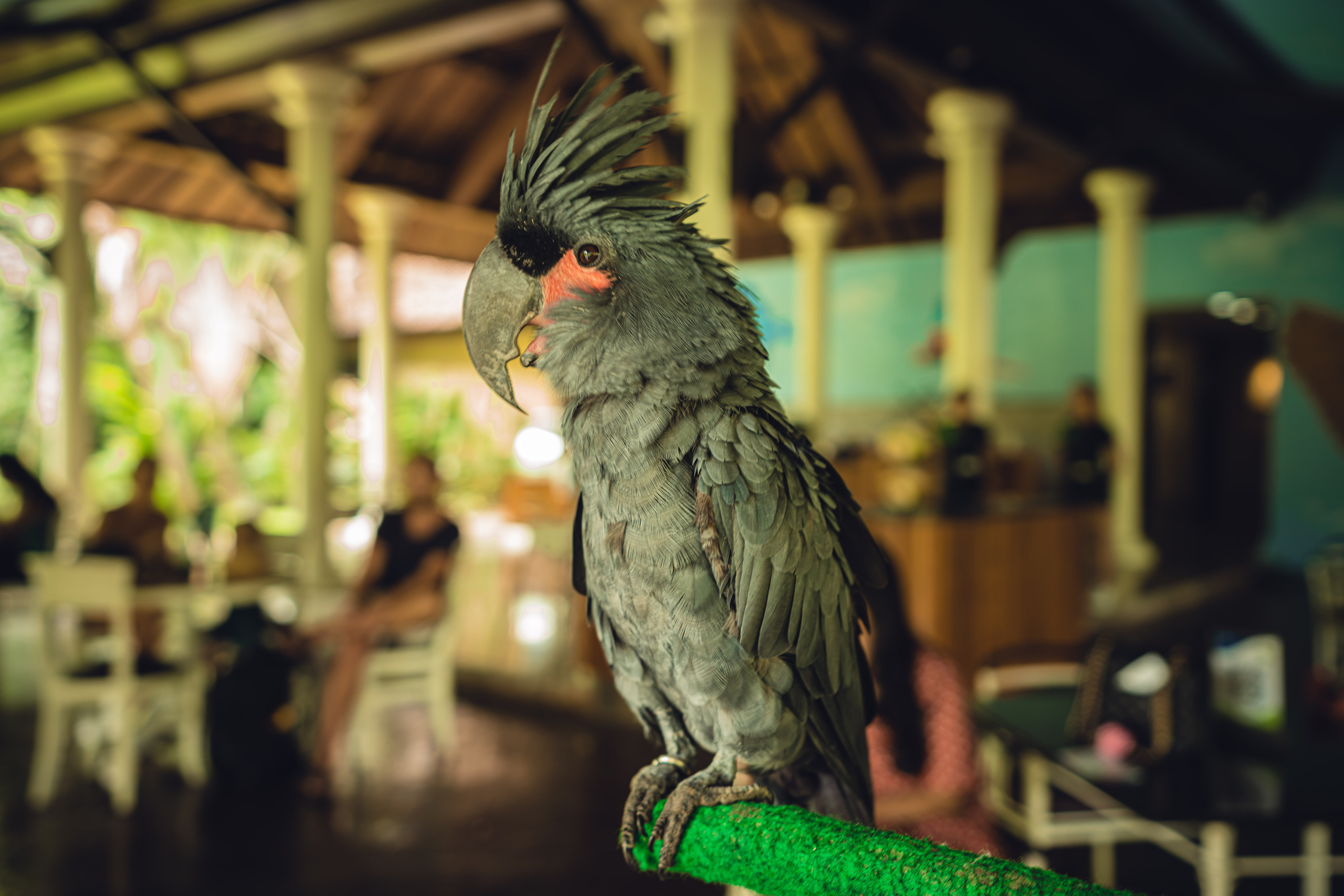 Бали. Фотографирую для себя, своей семьи и друзей!