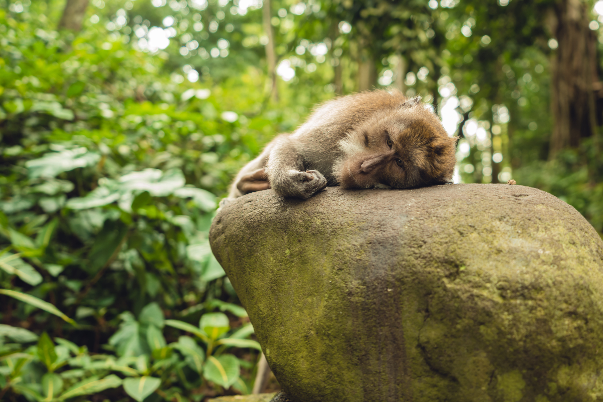 Бали. Фотографирую для себя, своей семьи и друзей!