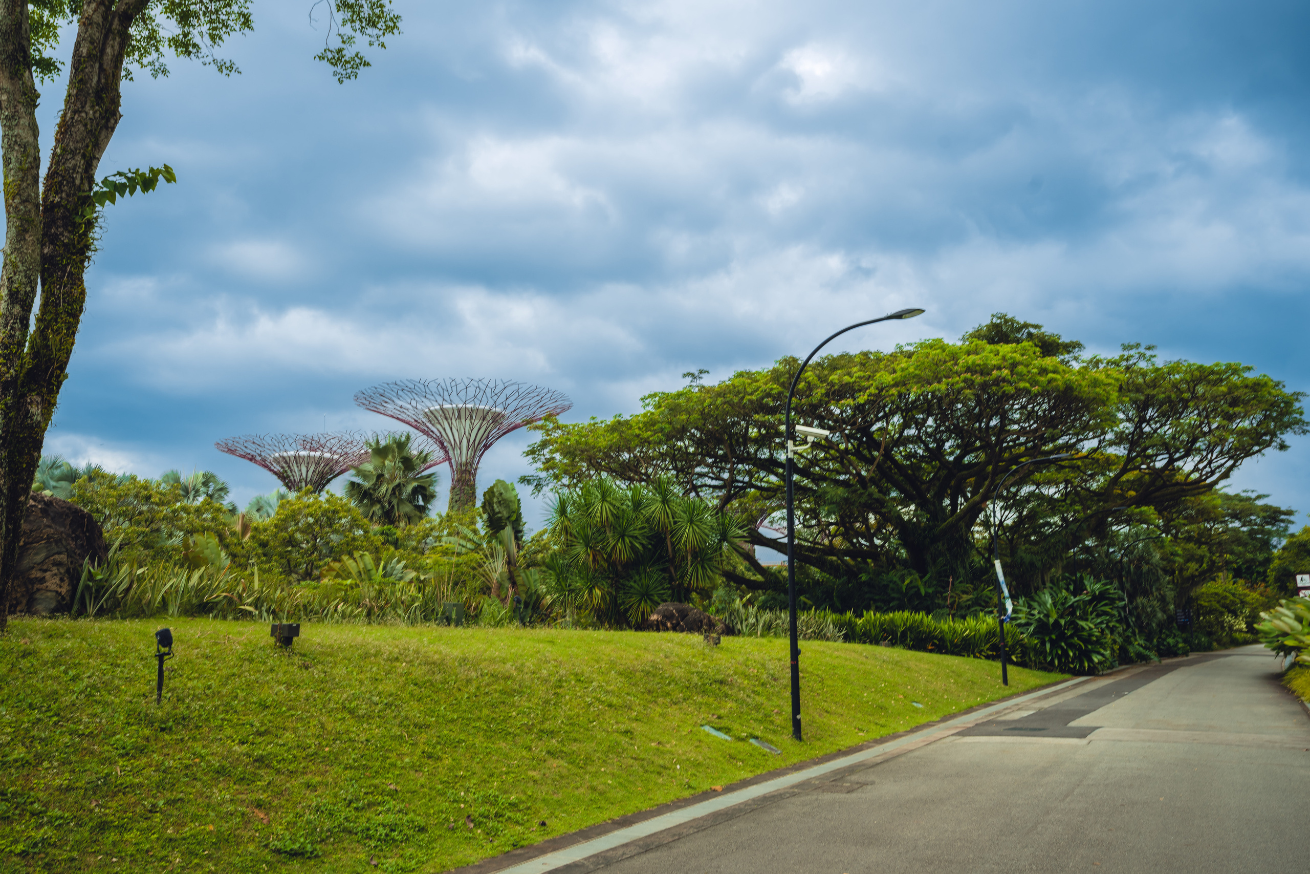 Сингапур. Фотографирую для себя, своей семьи и друзей!