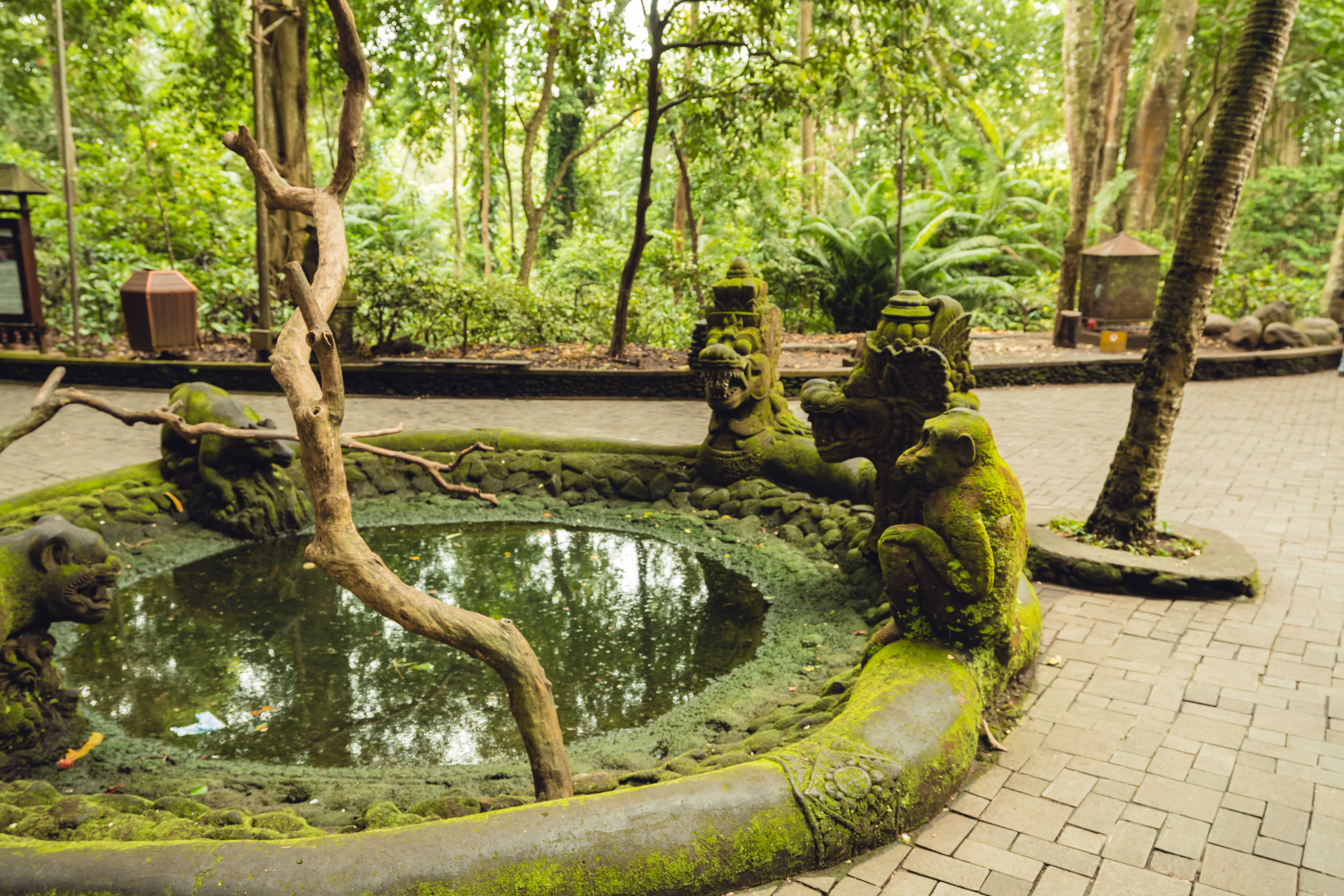 Бали. Фотографирую для себя, своей семьи и друзей!