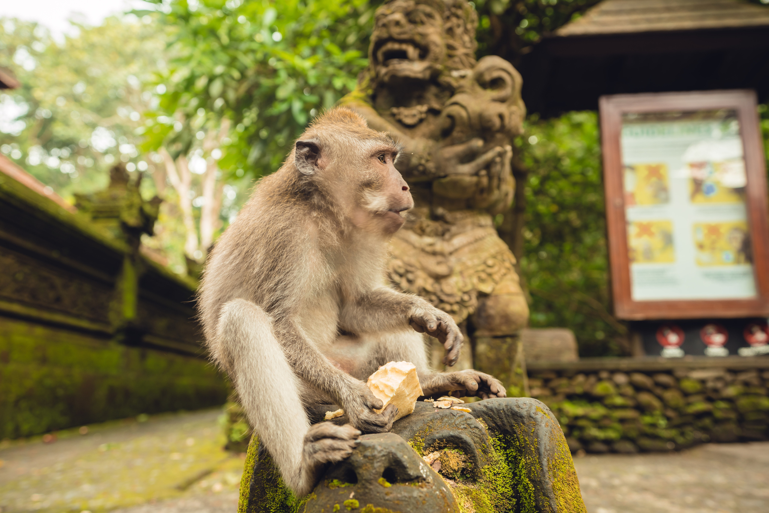 Бали. Фотографирую для себя, своей семьи и друзей!