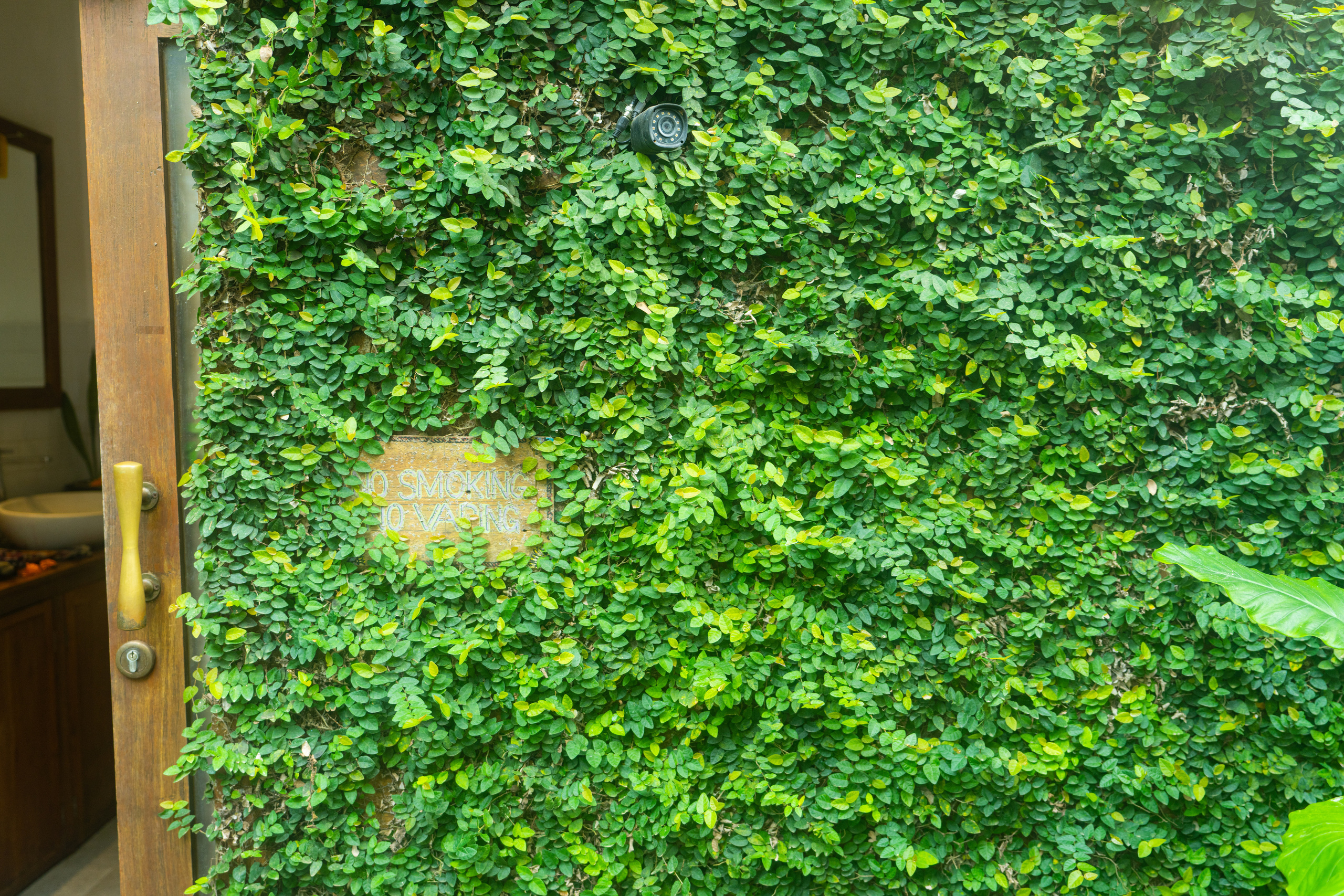 Бали. Фотографирую для себя, своей семьи и друзей!