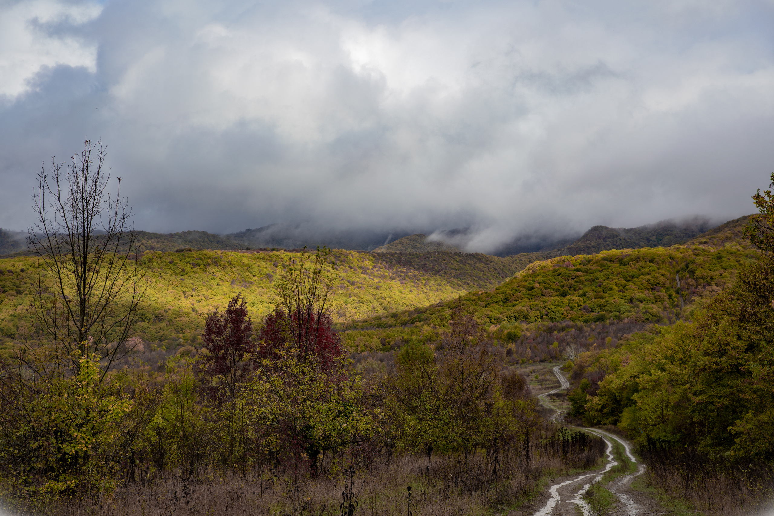 Северный Кавказ Волок. Фотографирую для себя, своей семьи и друзей!