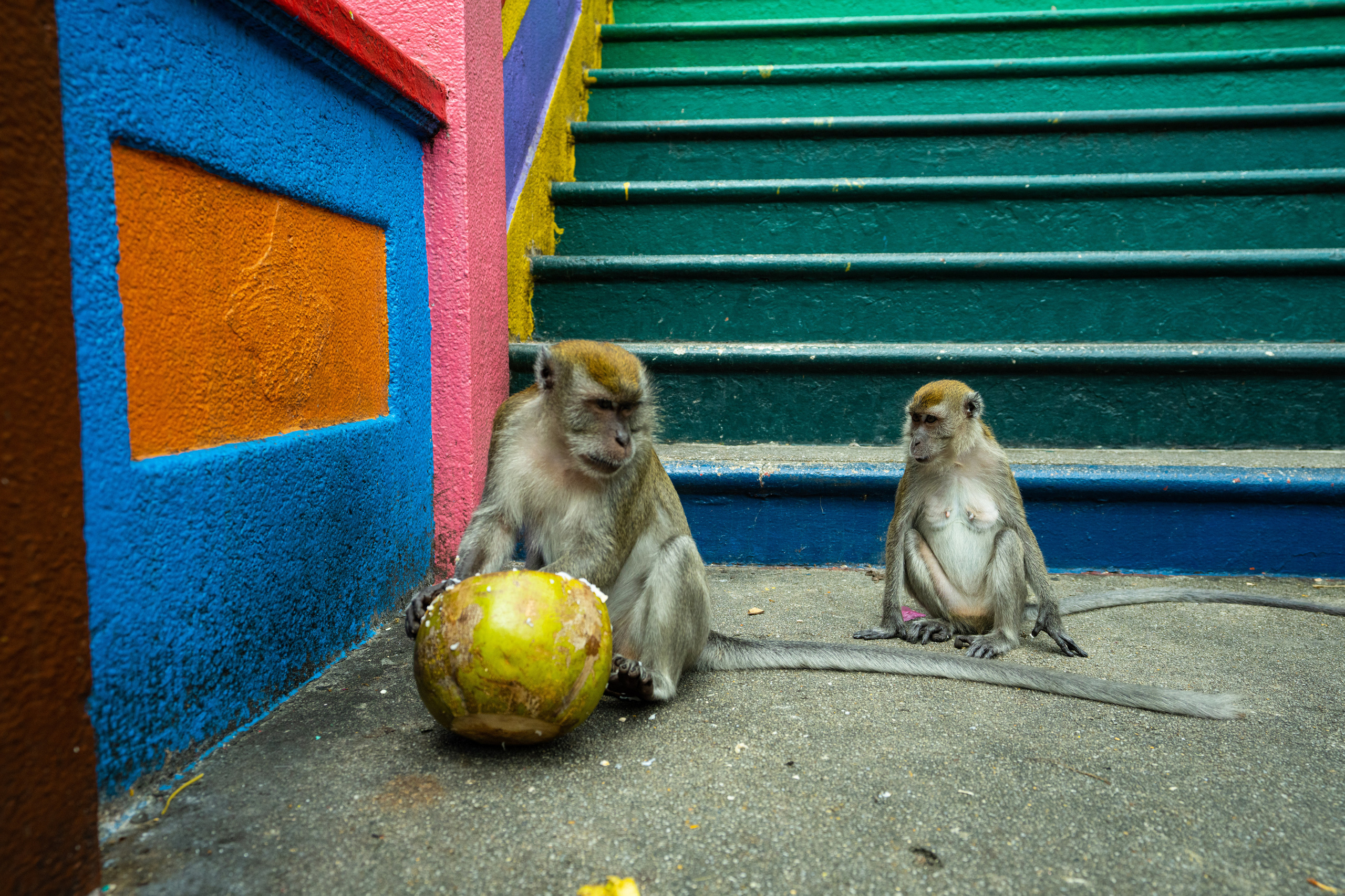Куала Лумпур. Фотографирую для себя, своей семьи и друзей!