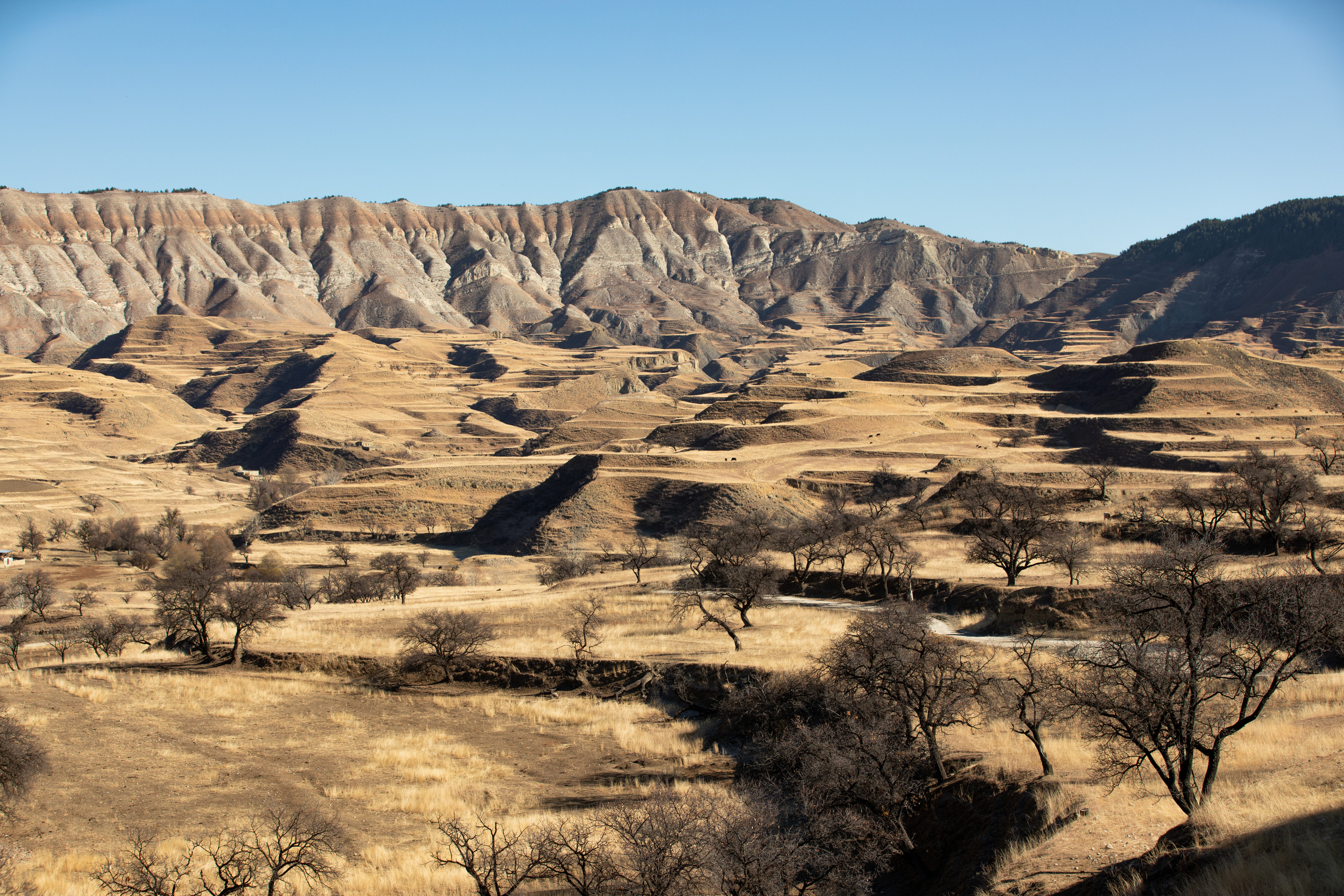 Северный Кавказ Волок. Фотографирую для себя, своей семьи и друзей!