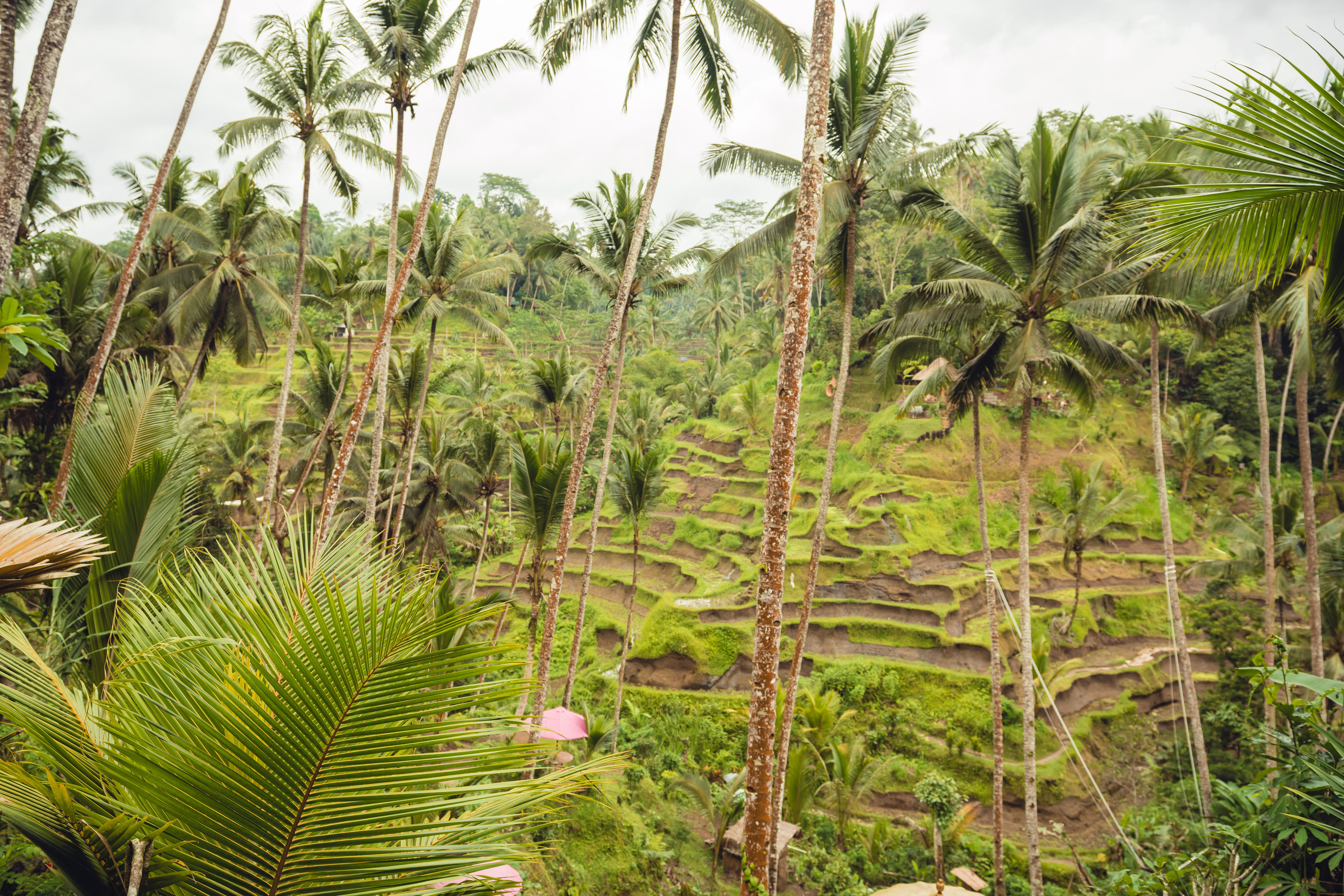 Бали. Фотографирую для себя, своей семьи и друзей!