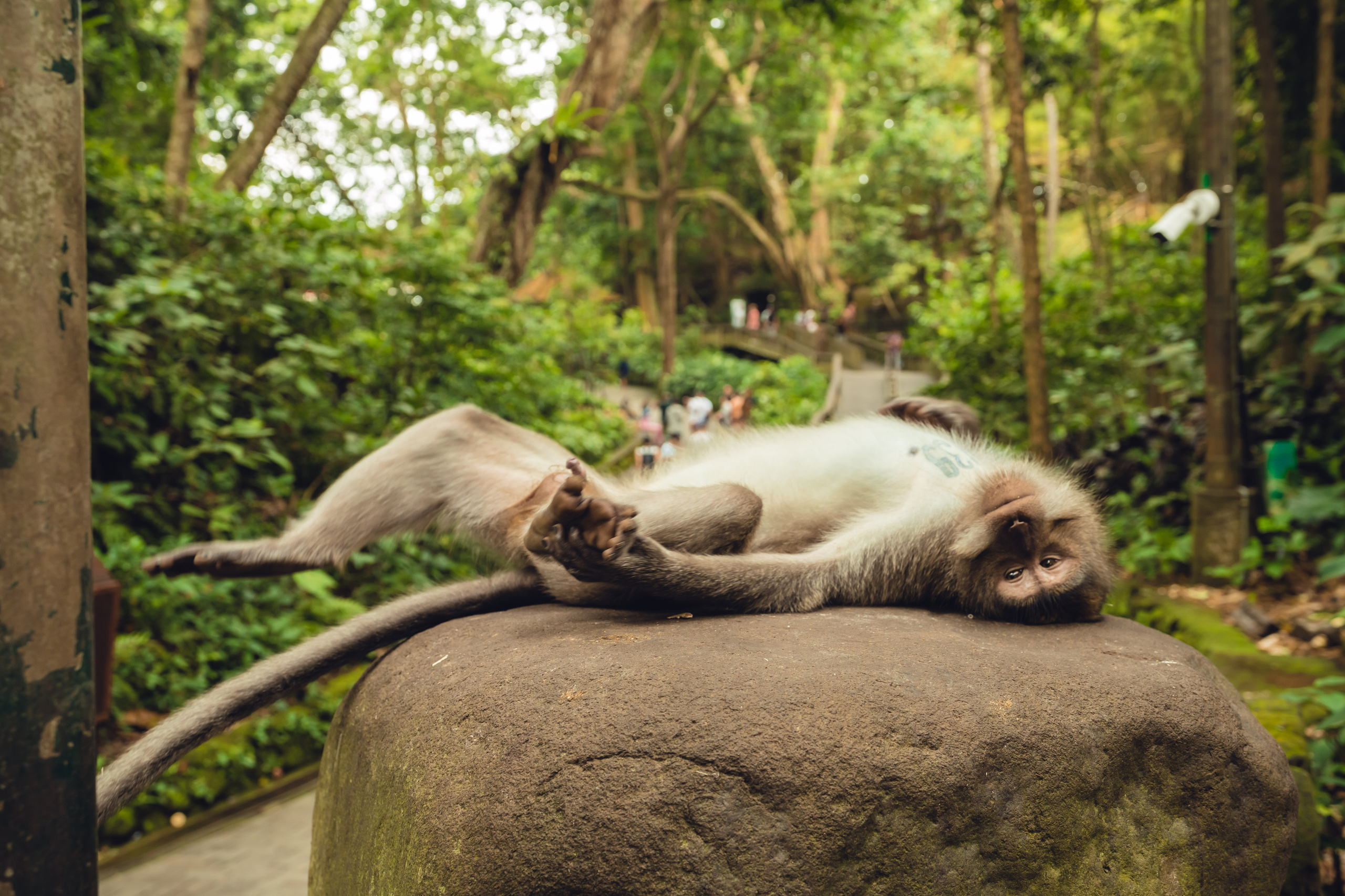 Бали. Фотографирую для себя, своей семьи и друзей!