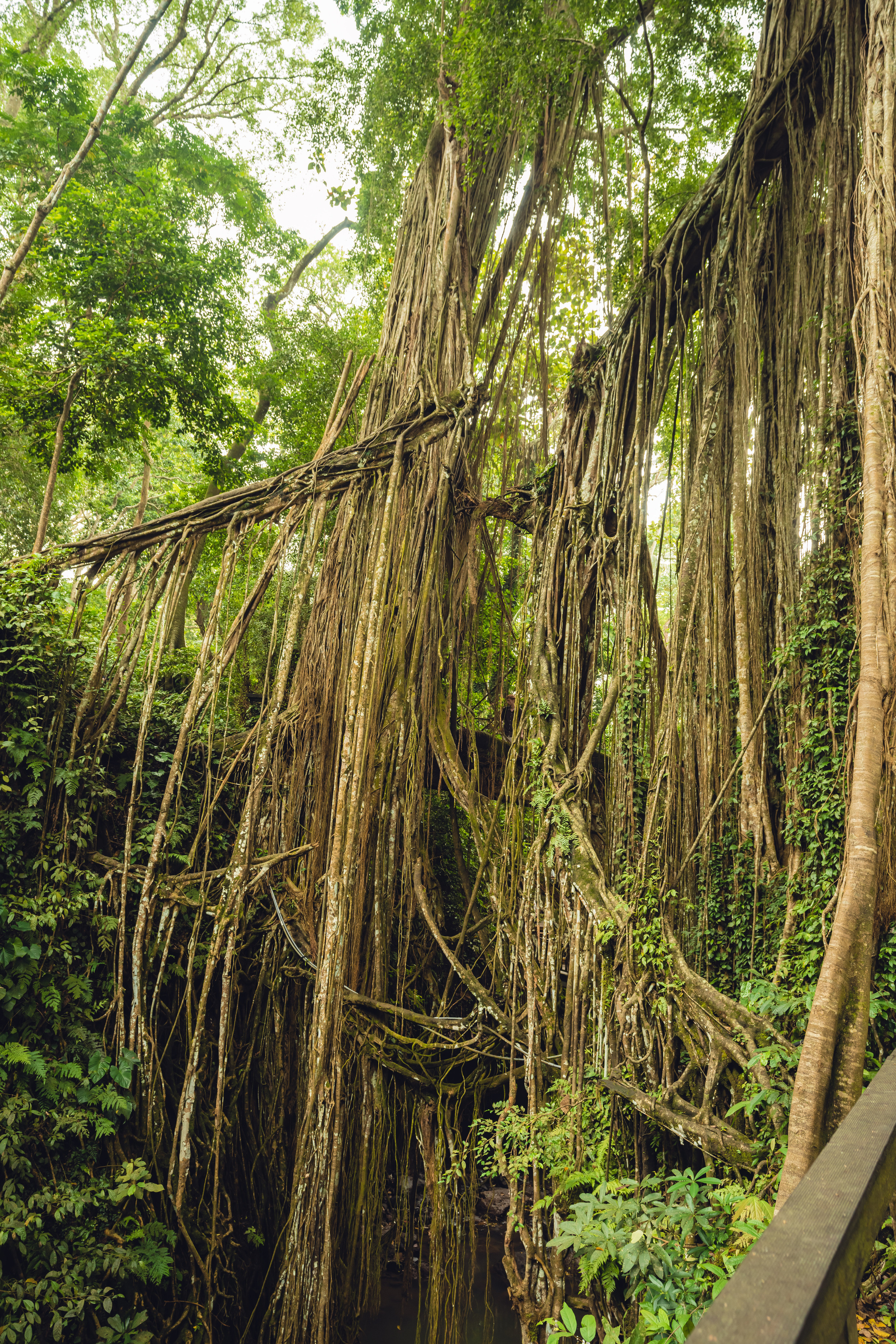 Бали. Фотографирую для себя, своей семьи и друзей!