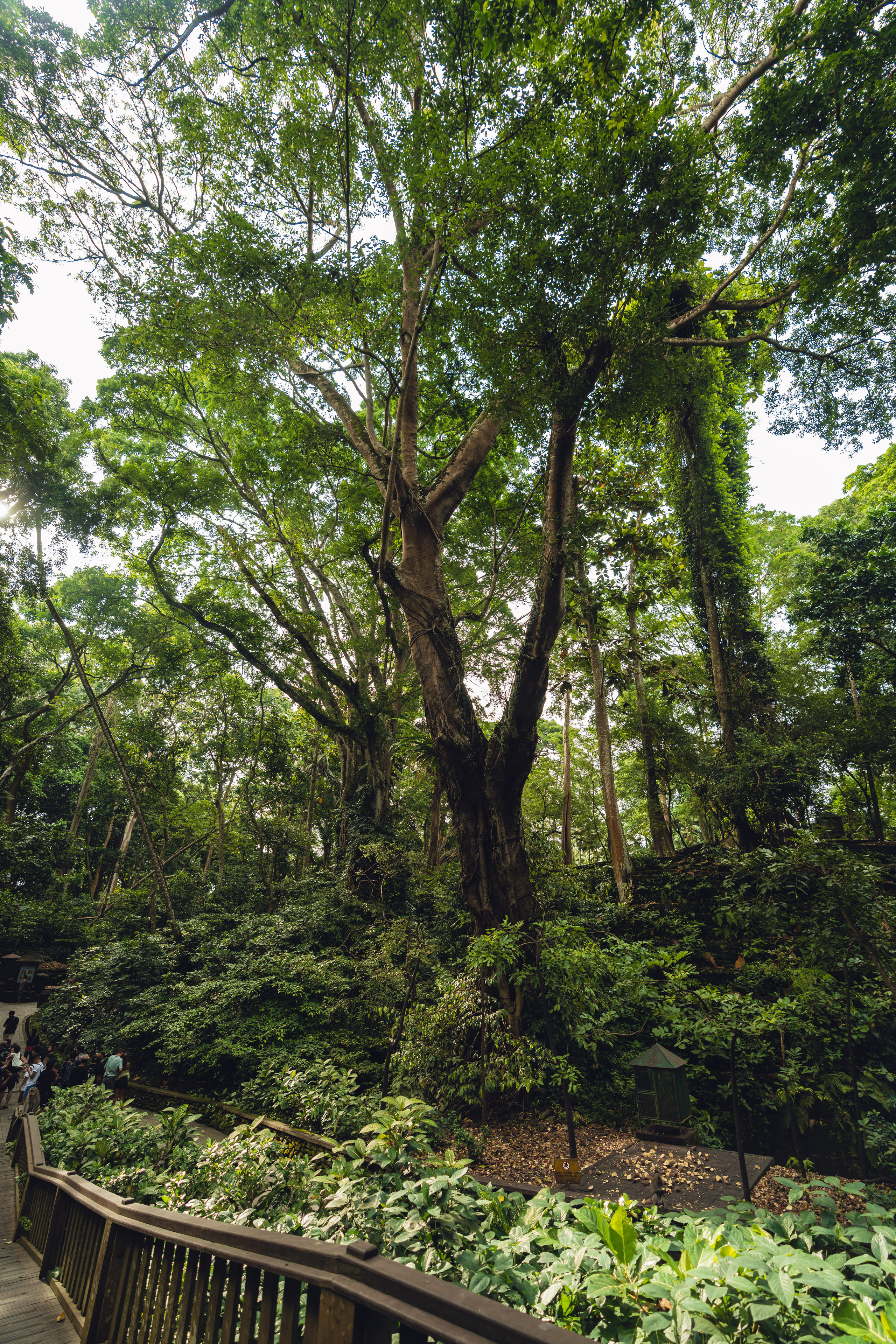 Бали. Фотографирую для себя, своей семьи и друзей!