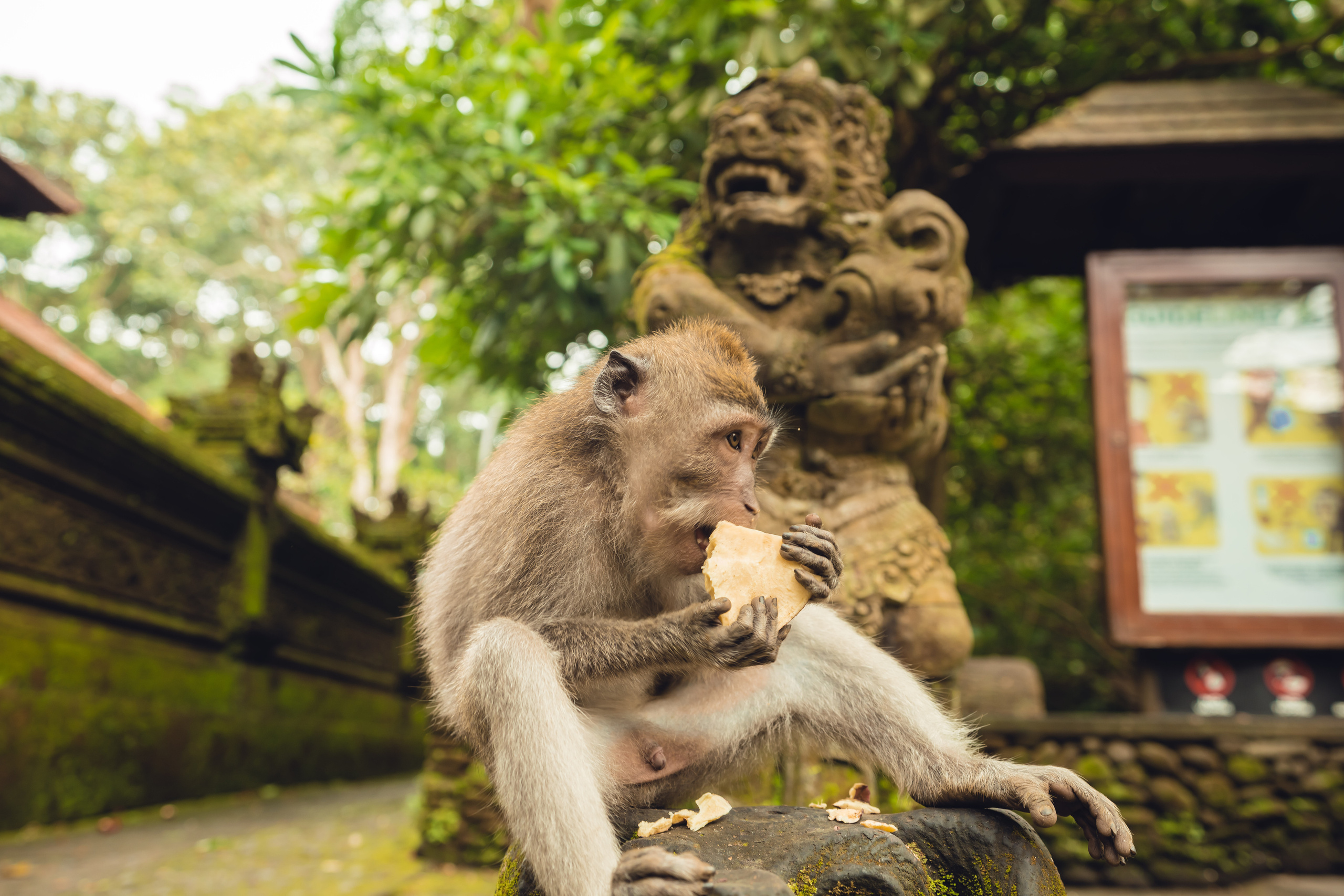 Бали. Фотографирую для себя, своей семьи и друзей!