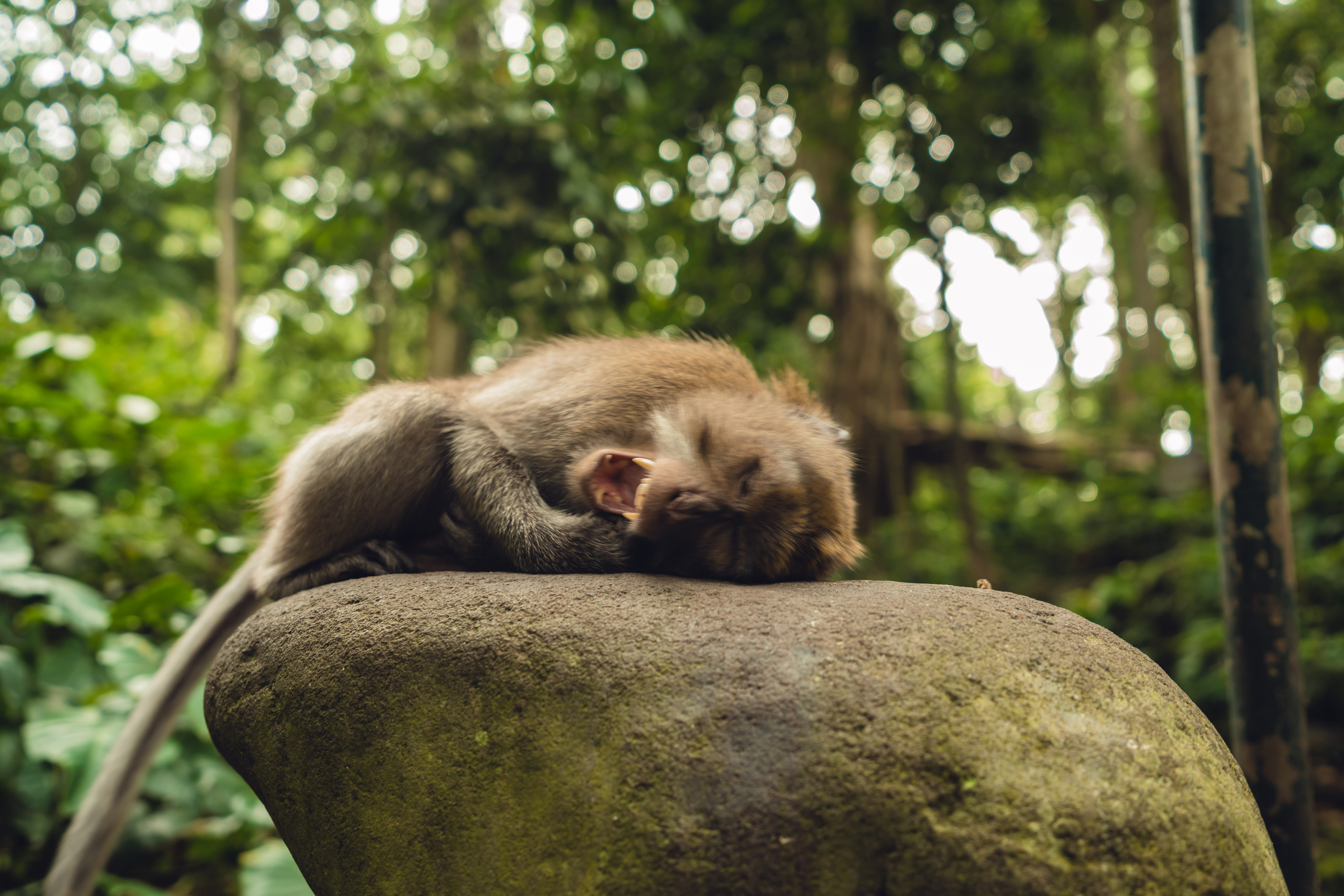 Бали. Фотографирую для себя, своей семьи и друзей!