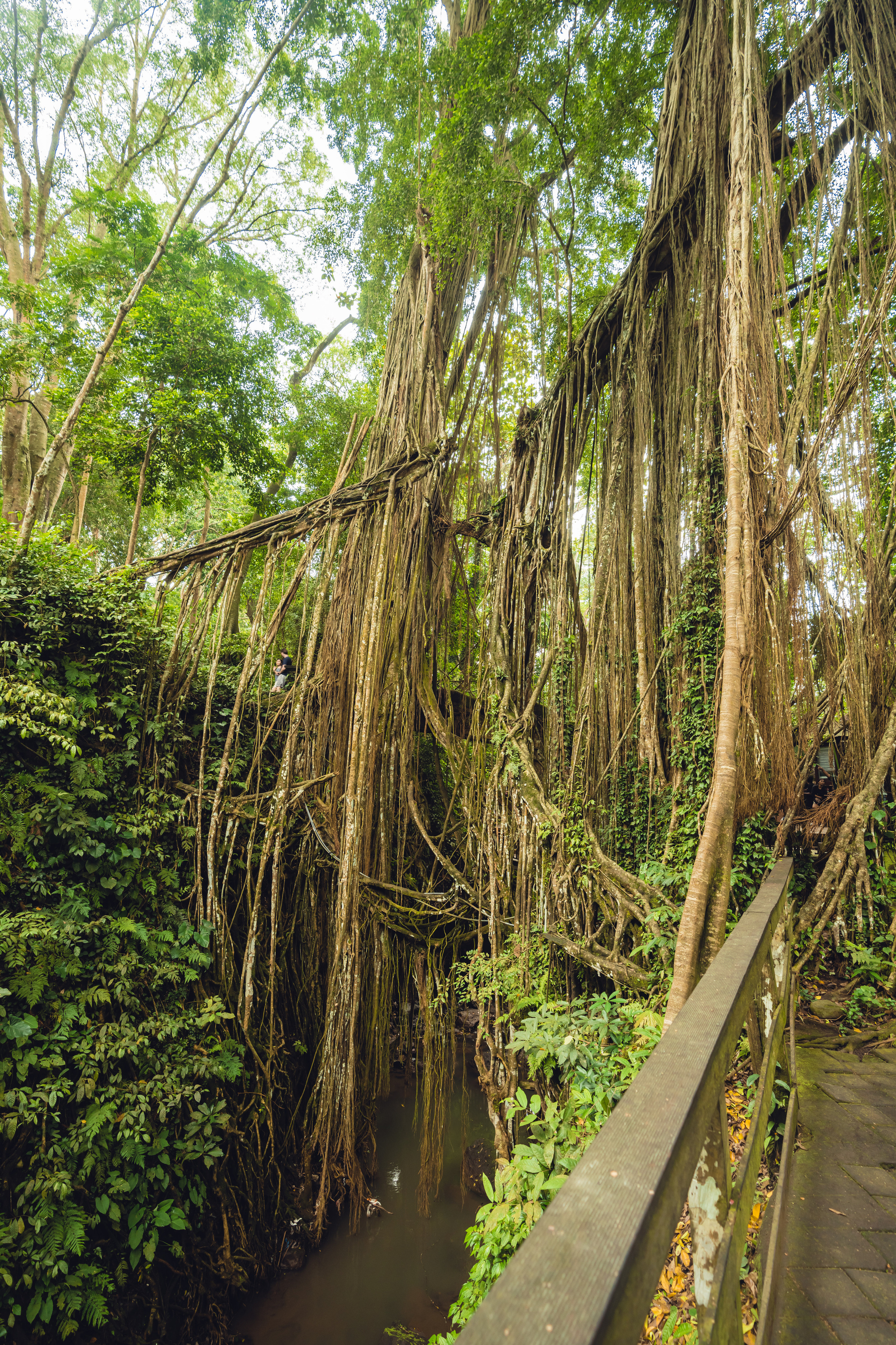 Бали. Фотографирую для себя, своей семьи и друзей!