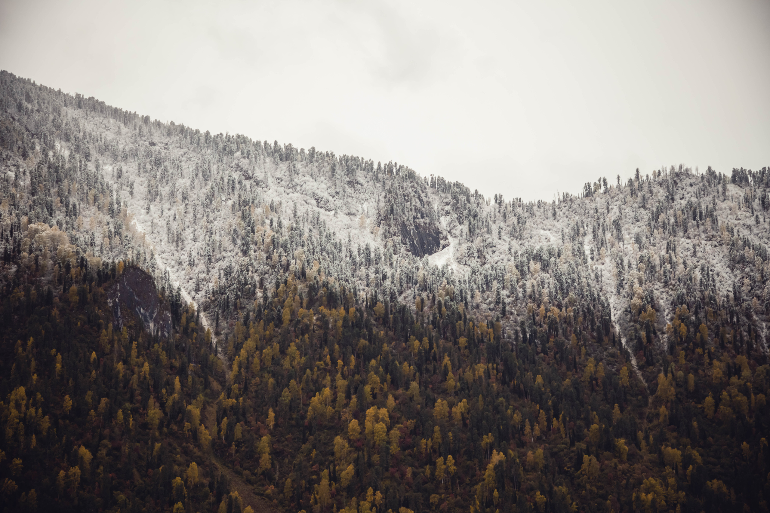 Алтай. Фотографирую для себя, своей семьи и друзей!