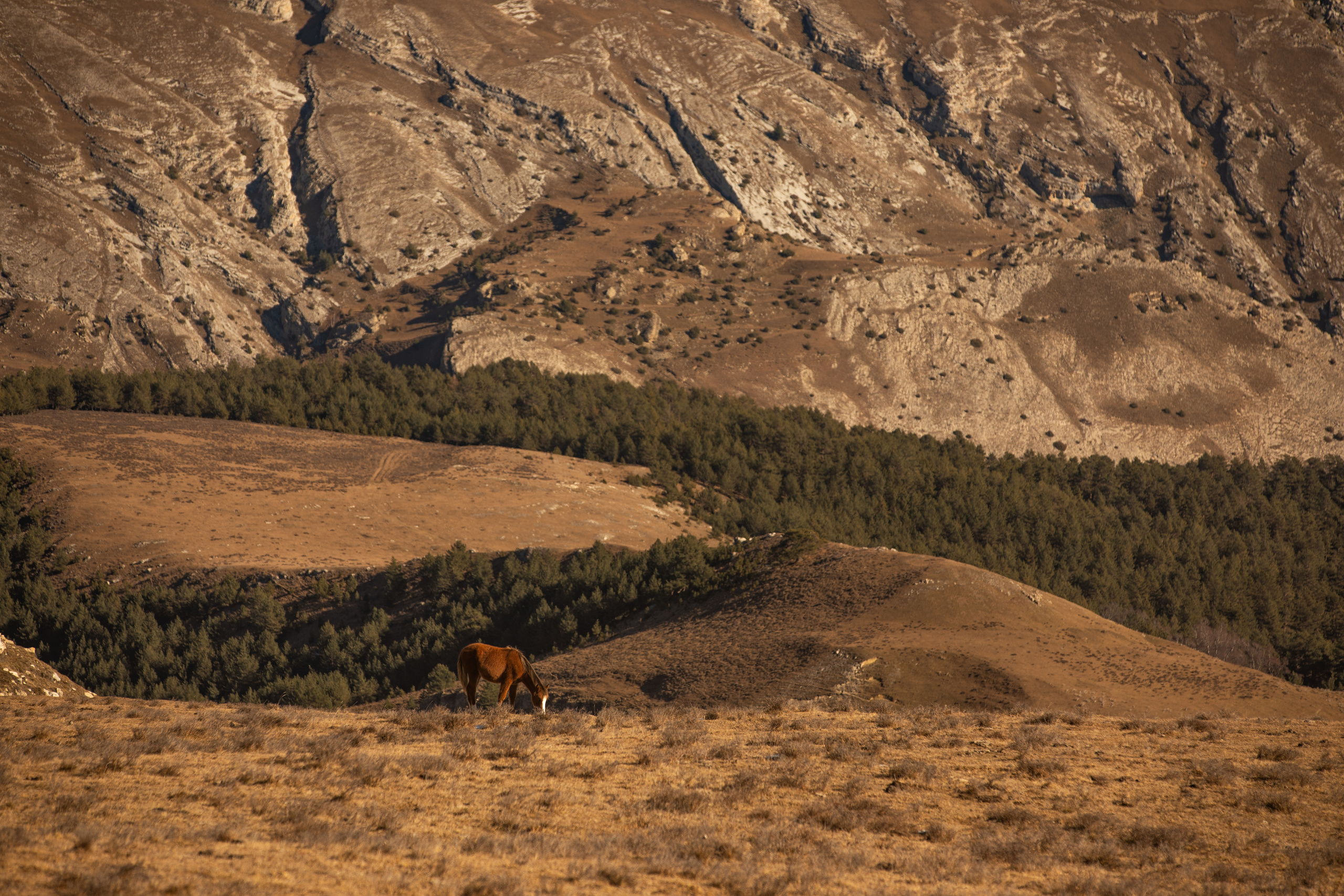 Северный Кавказ Волок. Фотографирую для себя, своей семьи и друзей!