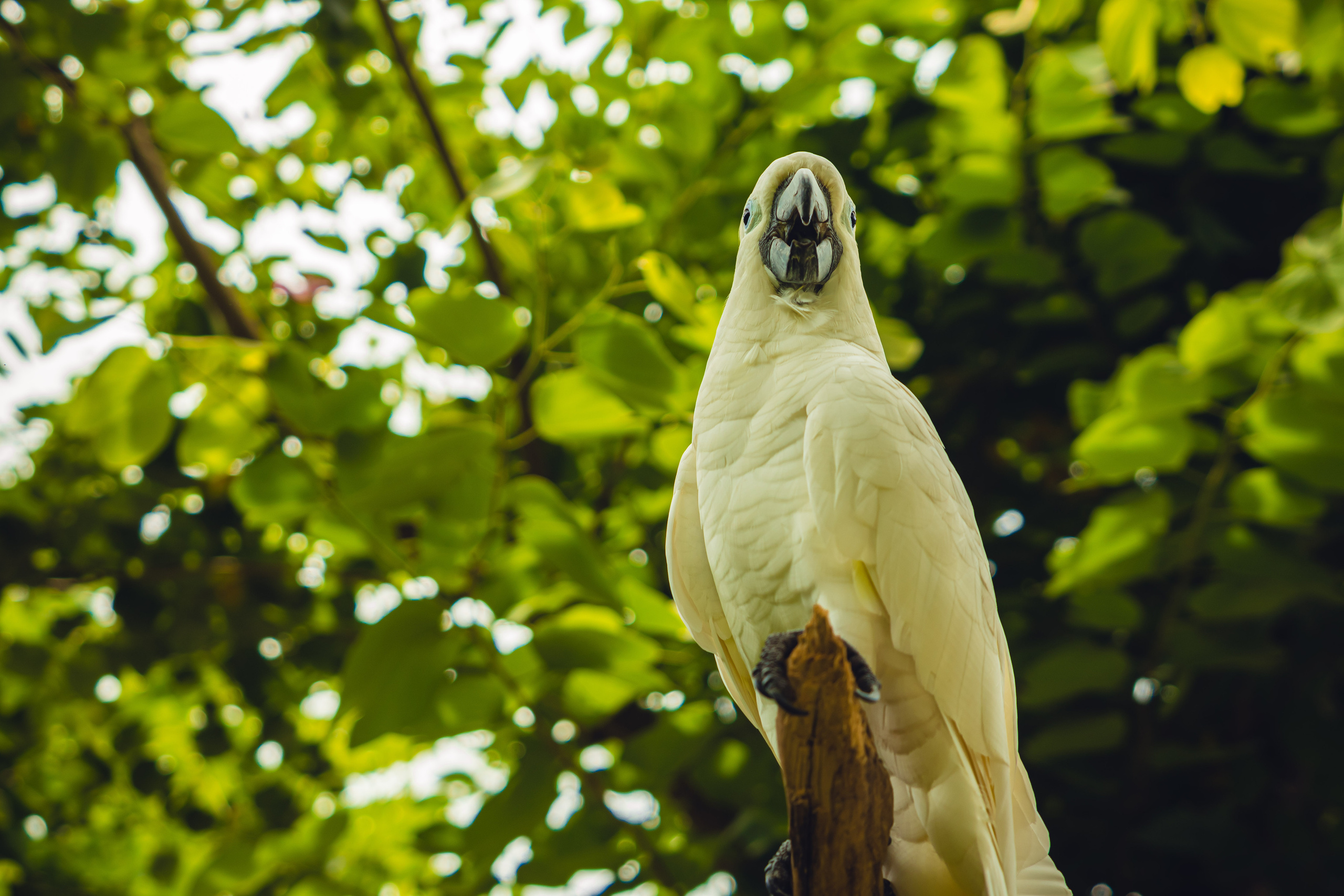 Бали. Фотографирую для себя, своей семьи и друзей!