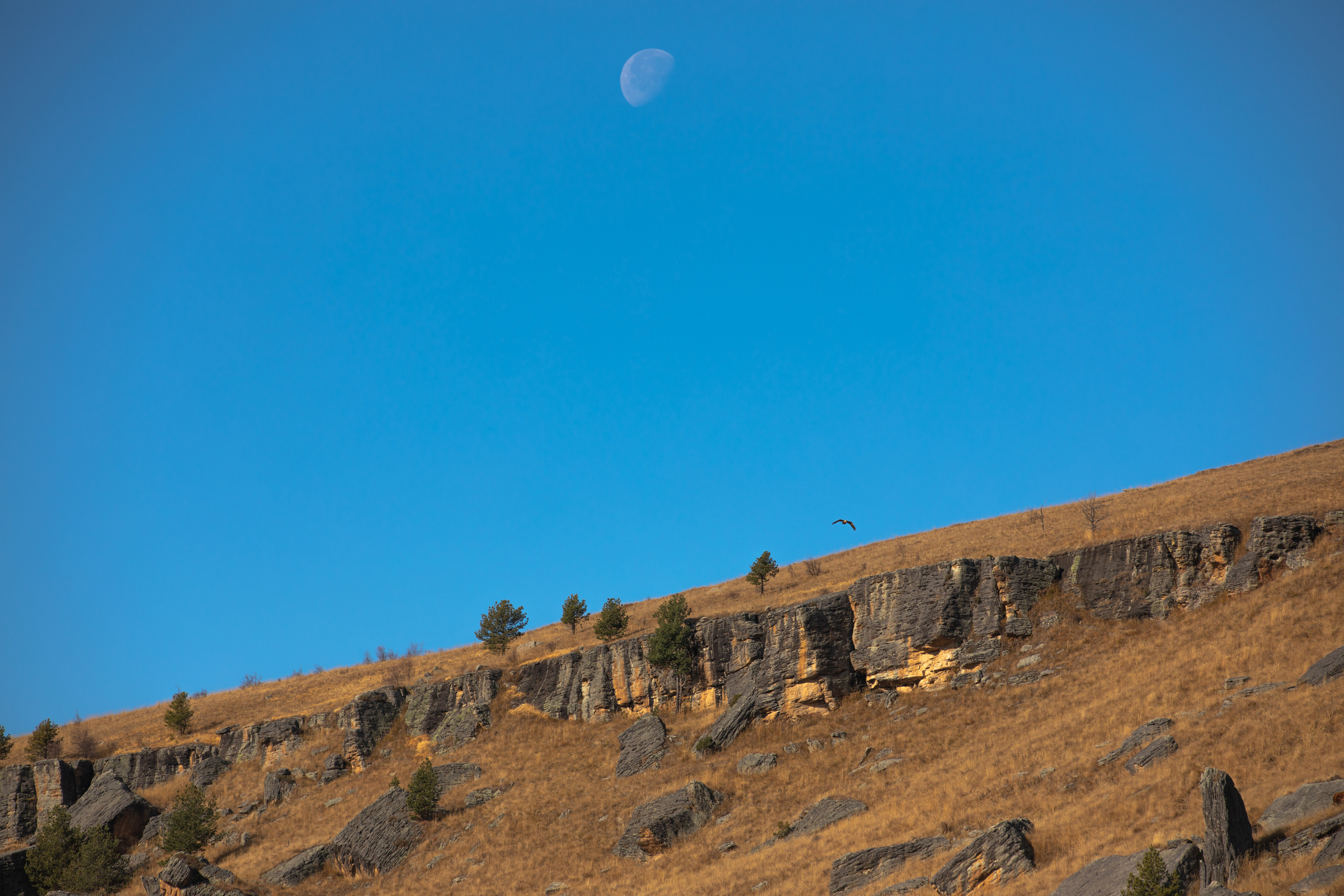 Северный Кавказ Волок. Фотографирую для себя, своей семьи и друзей!