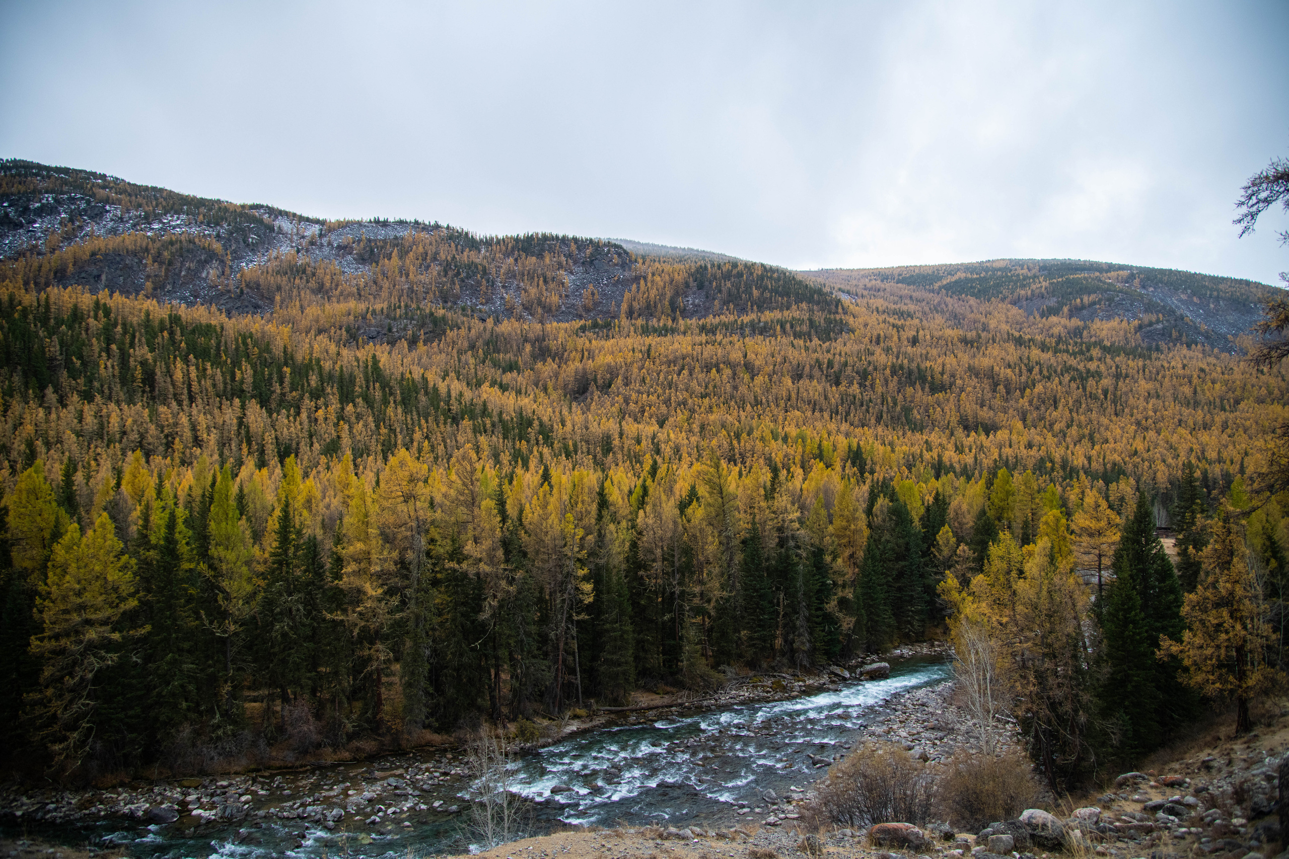 Алтай. Фотографирую для себя, своей семьи и друзей!