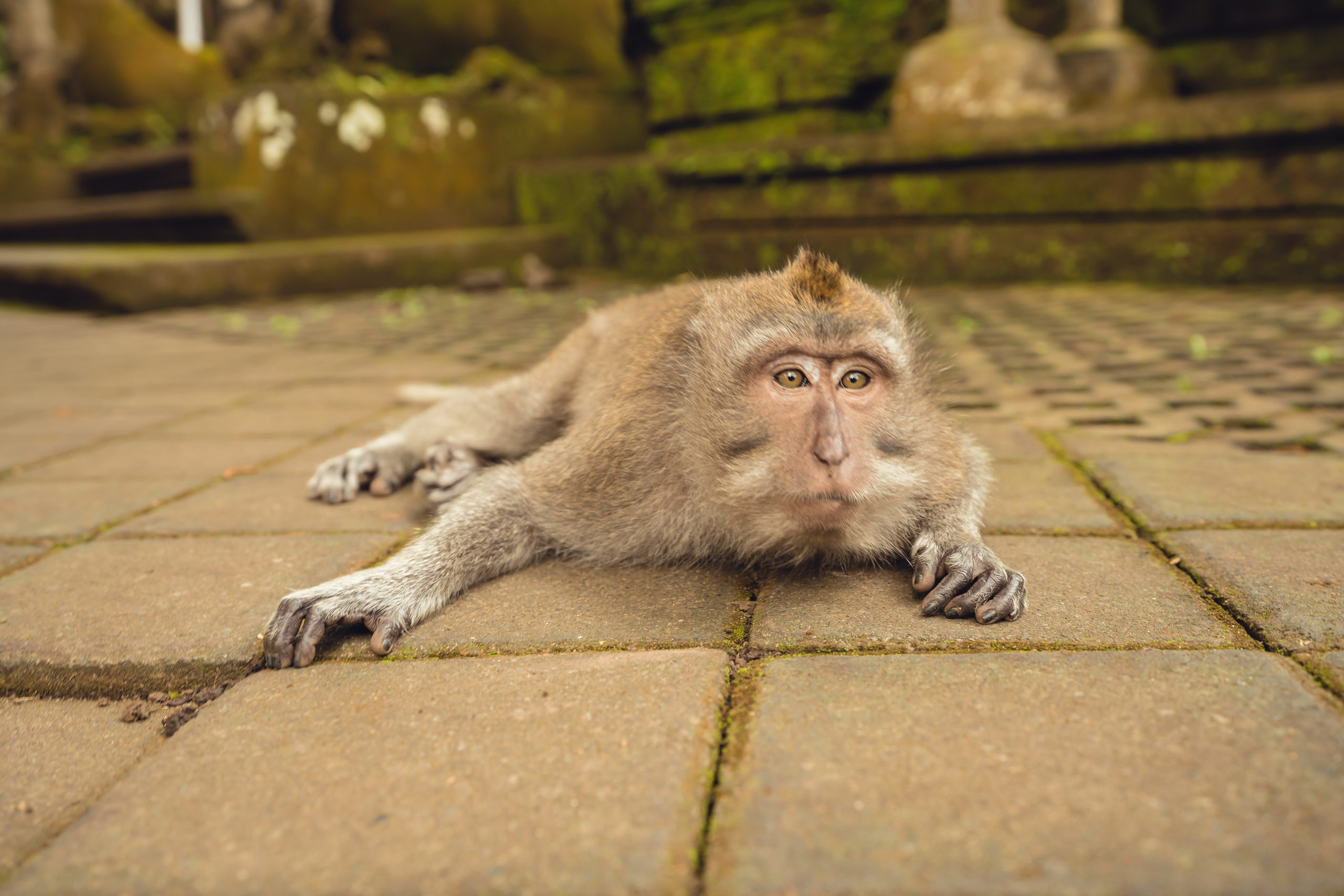 Бали. Фотографирую для себя, своей семьи и друзей!
