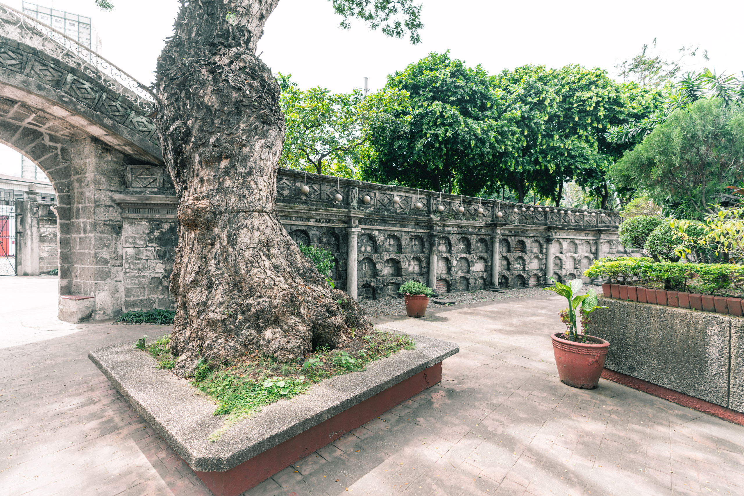 Манила. Фотографирую для себя, своей семьи и друзей!