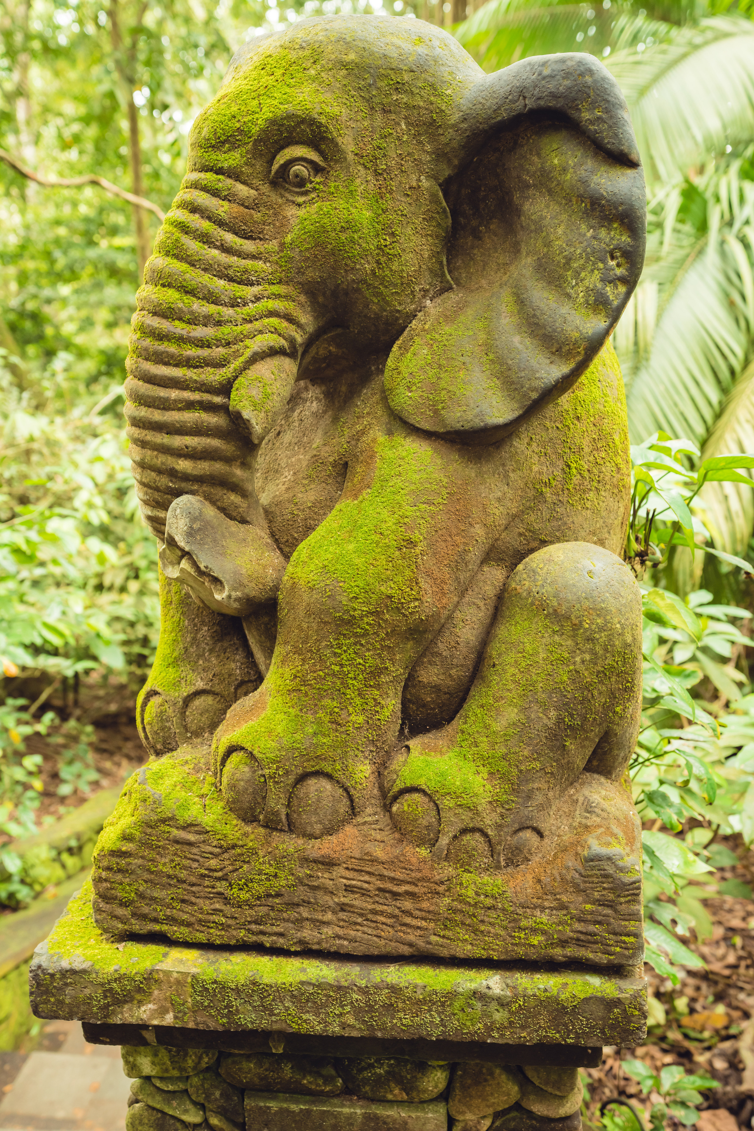 Бали. Фотографирую для себя, своей семьи и друзей!