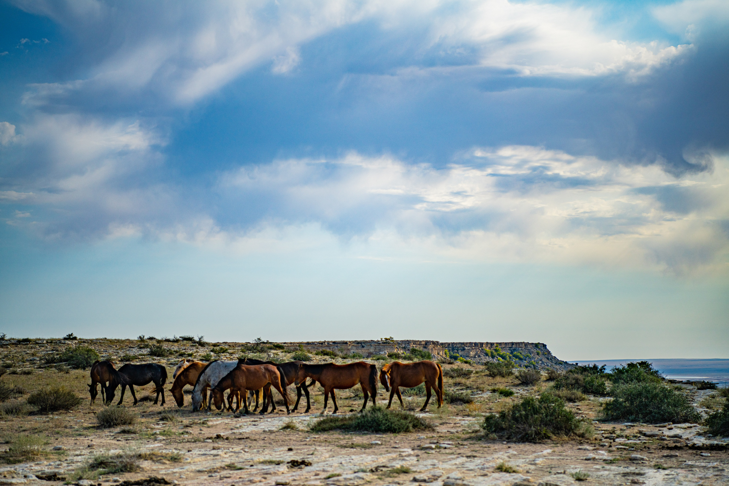 Мангистау. Фотографирую для себя, своей семьи и друзей!
