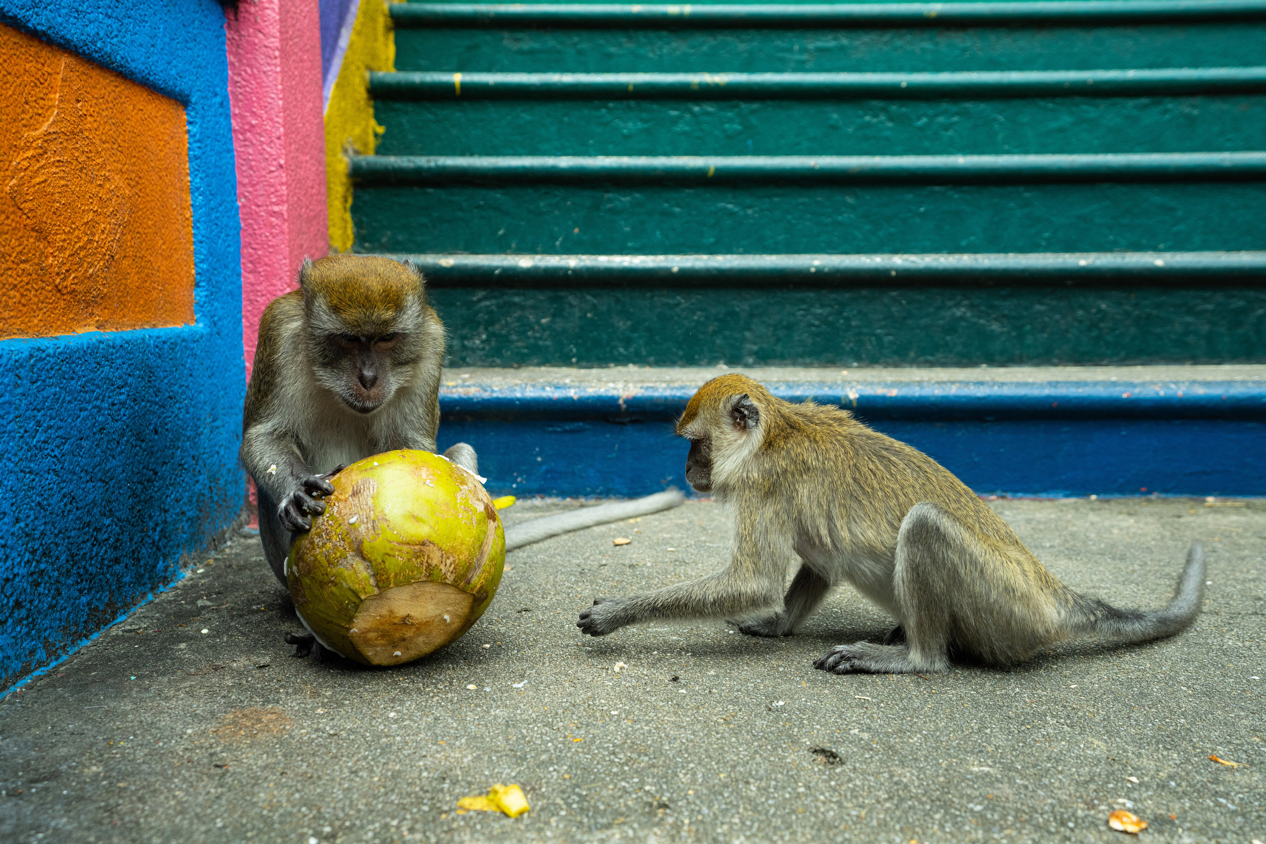 Куала Лумпур. Фотографирую для себя, своей семьи и друзей!