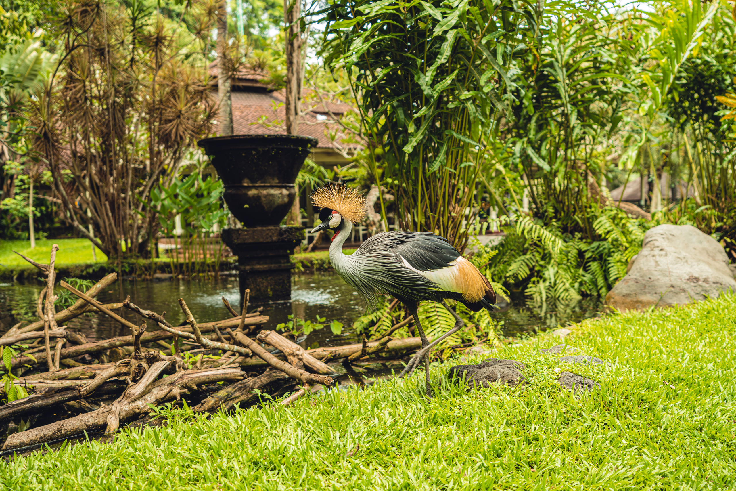Бали. Фотографирую для себя, своей семьи и друзей!