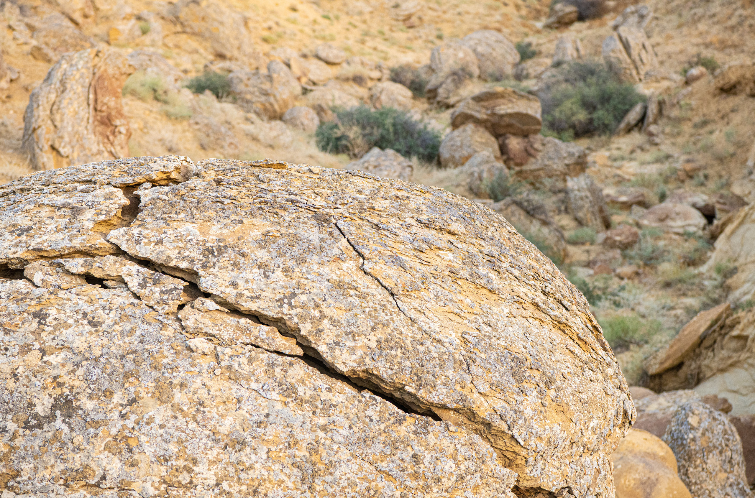 Мангистау. Фотографирую для себя, своей семьи и друзей!