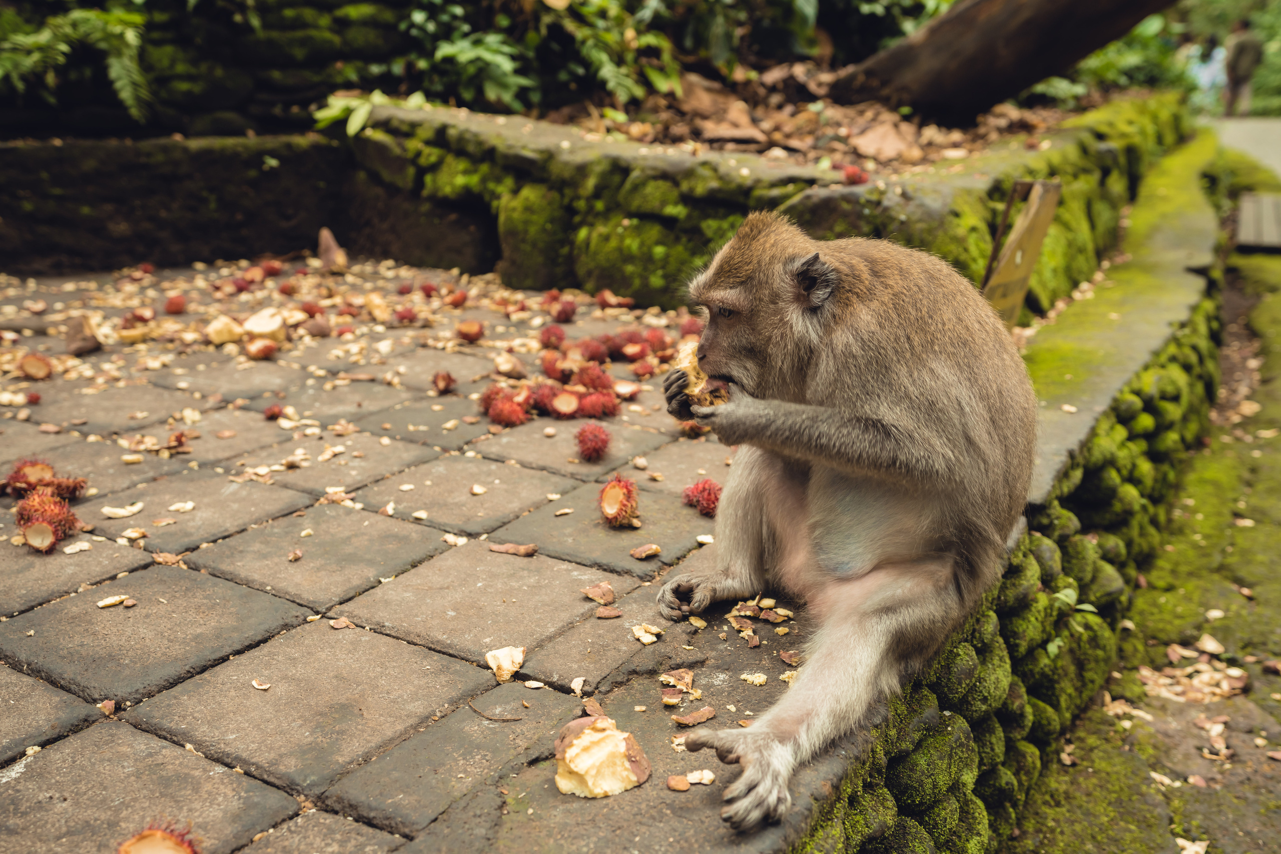 Бали. Фотографирую для себя, своей семьи и друзей!