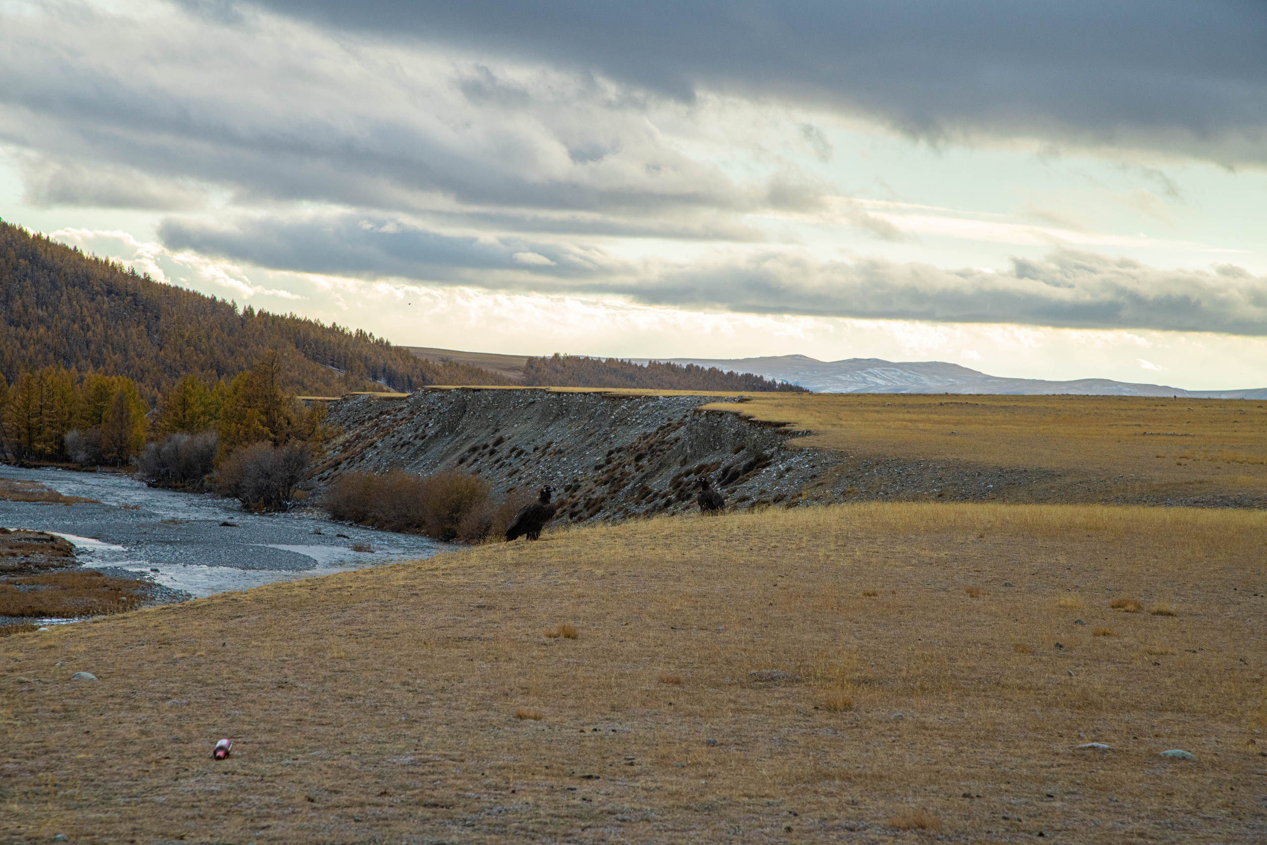 Алтай. Фотографирую для себя, своей семьи и друзей!