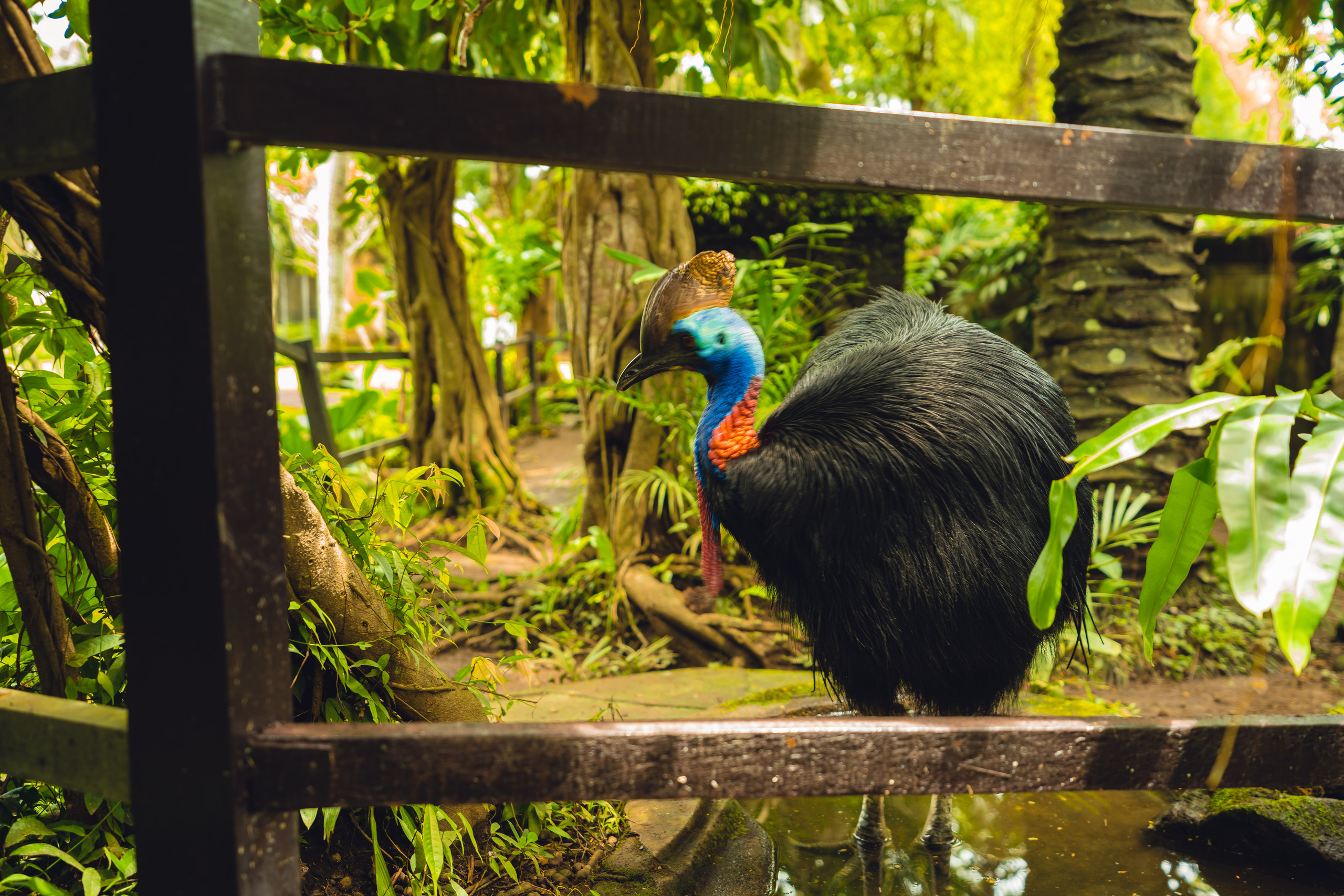 Бали. Фотографирую для себя, своей семьи и друзей!