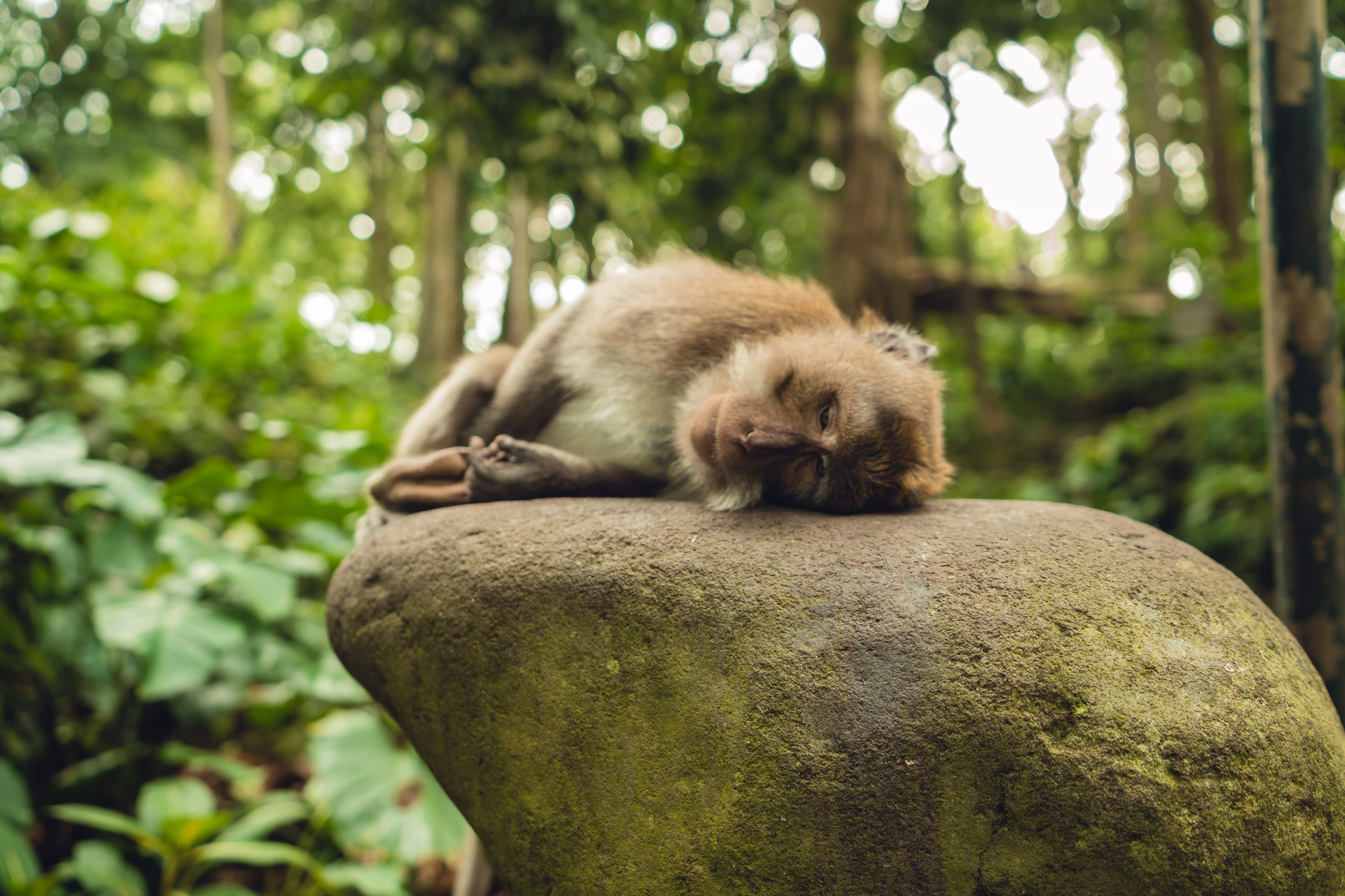Бали. Фотографирую для себя, своей семьи и друзей!