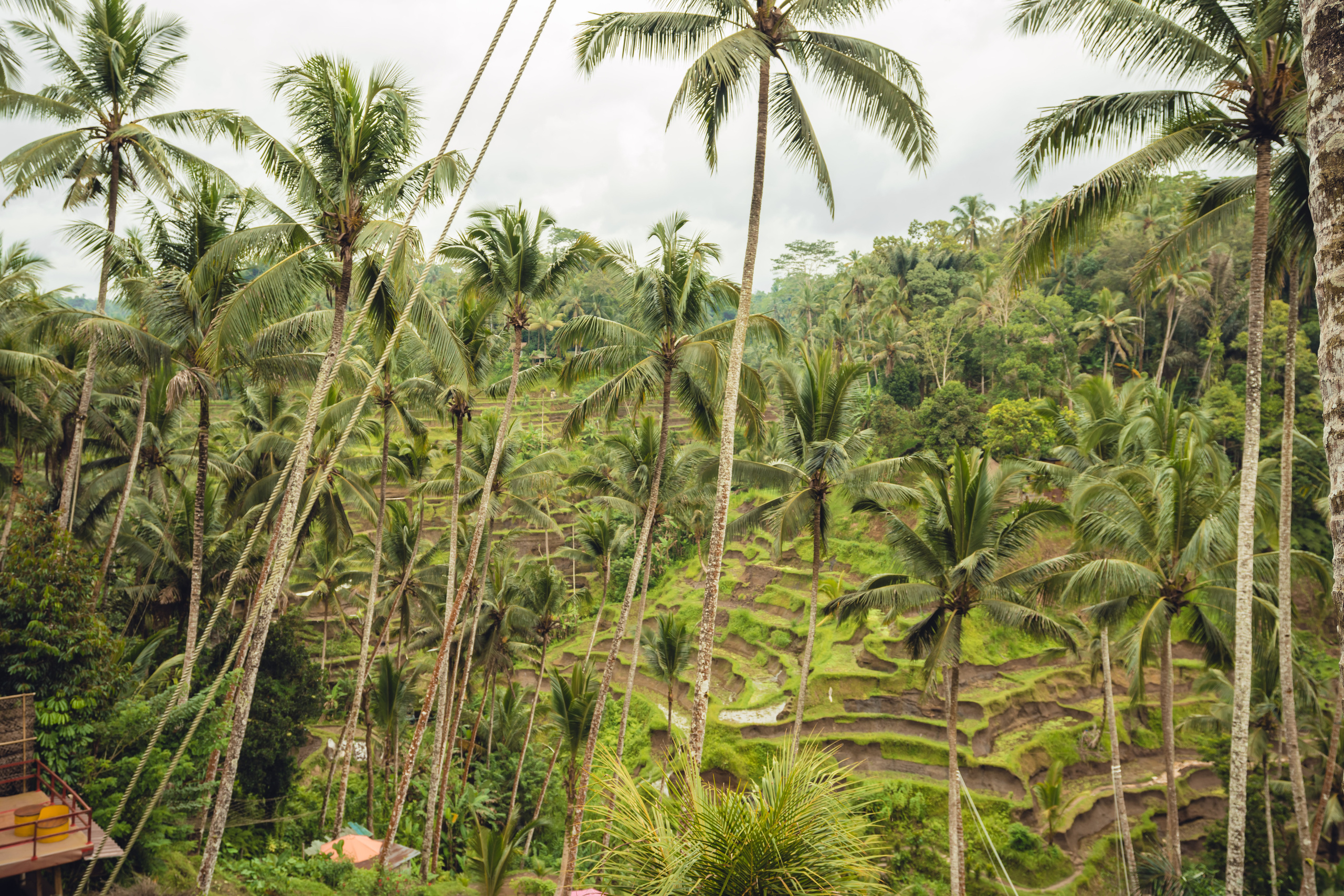 Бали. Фотографирую для себя, своей семьи и друзей!