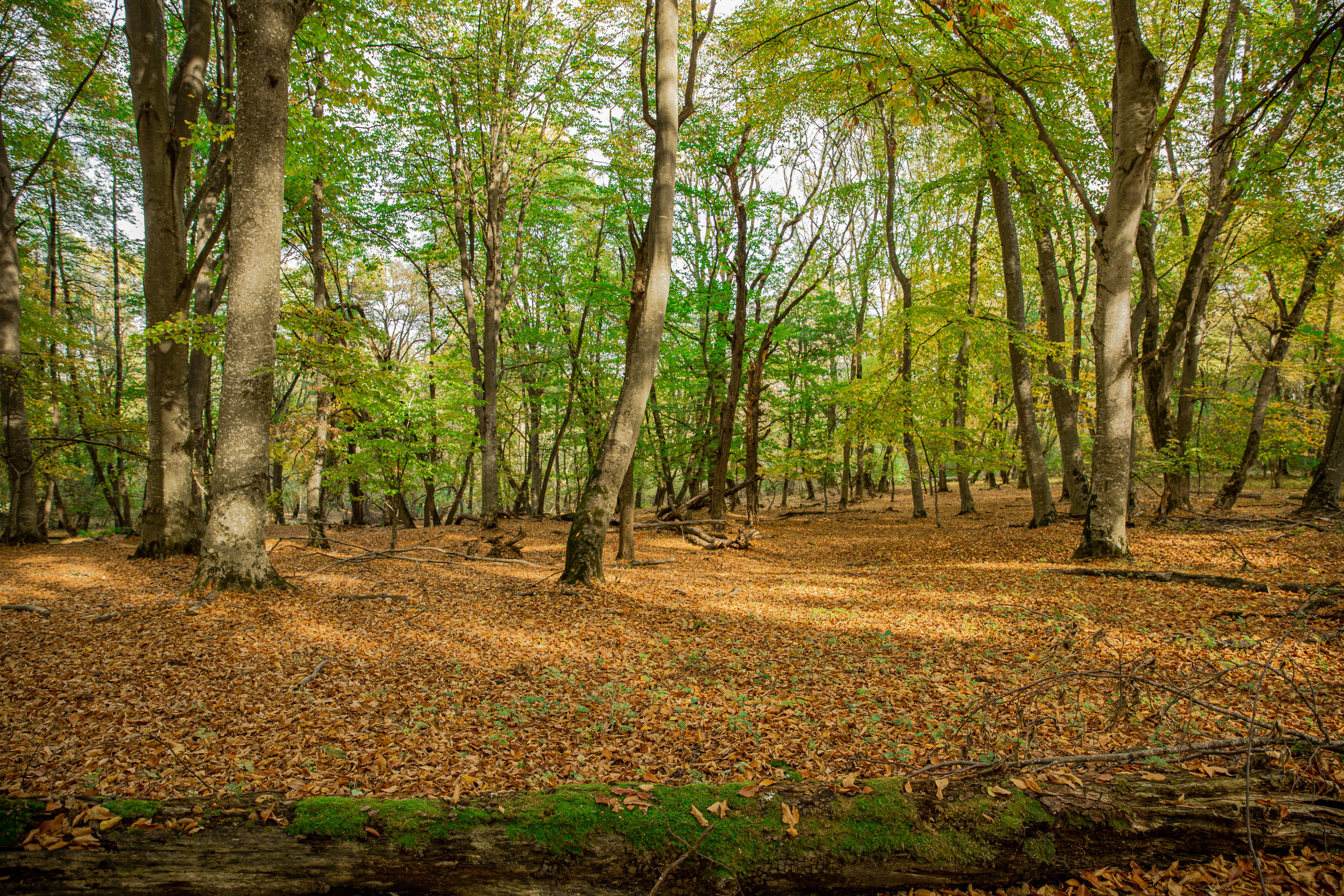 Северный Кавказ Волок. Фотографирую для себя, своей семьи и друзей!